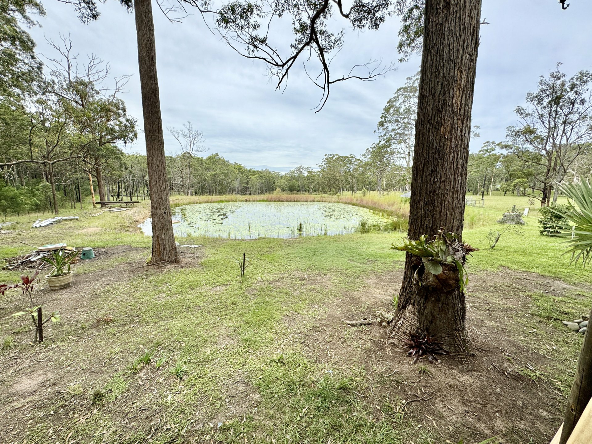 67A Irwins Road — photo 12 of 12