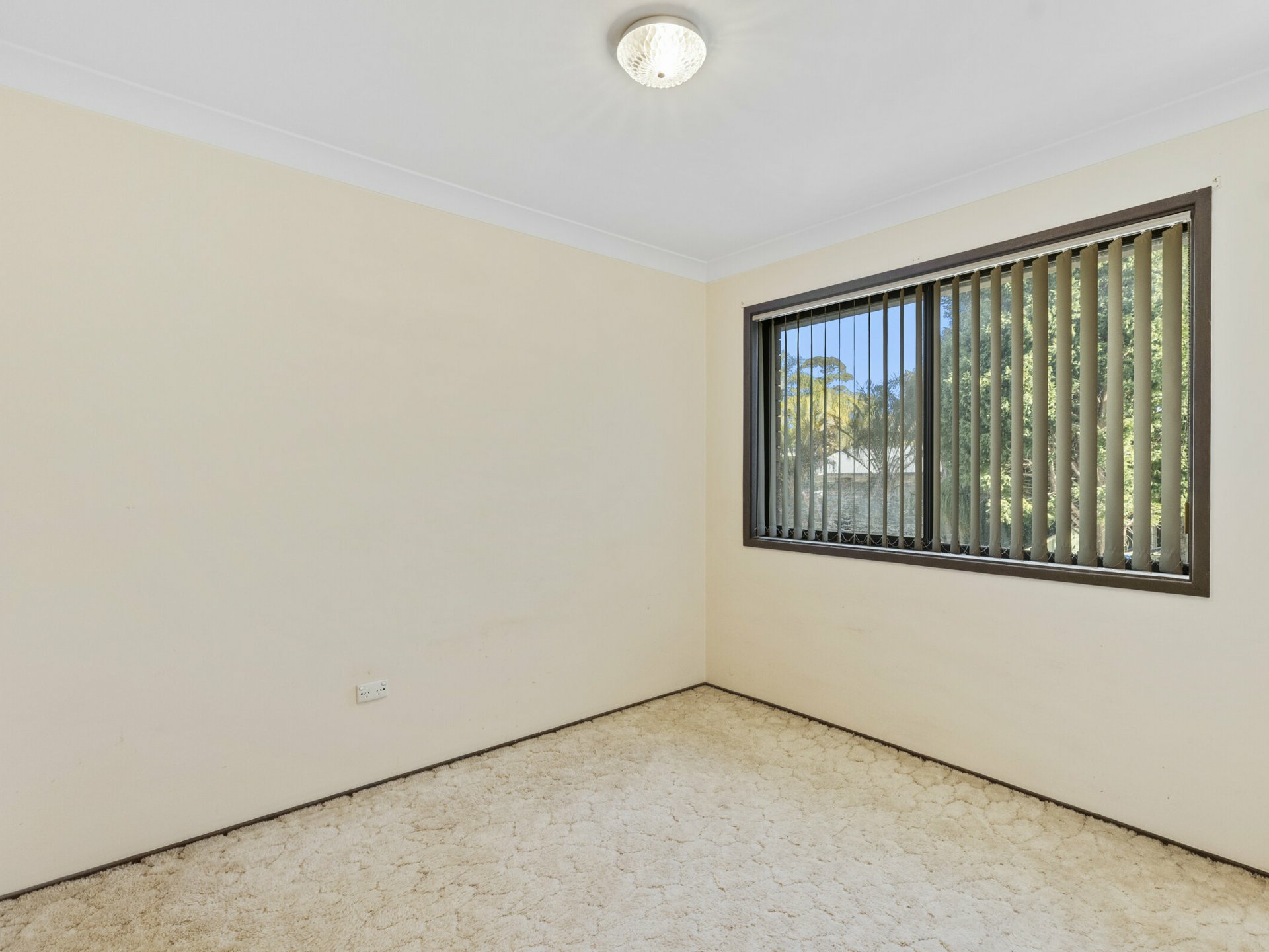 12 Jeannie Crescent — photo 14 of 19
