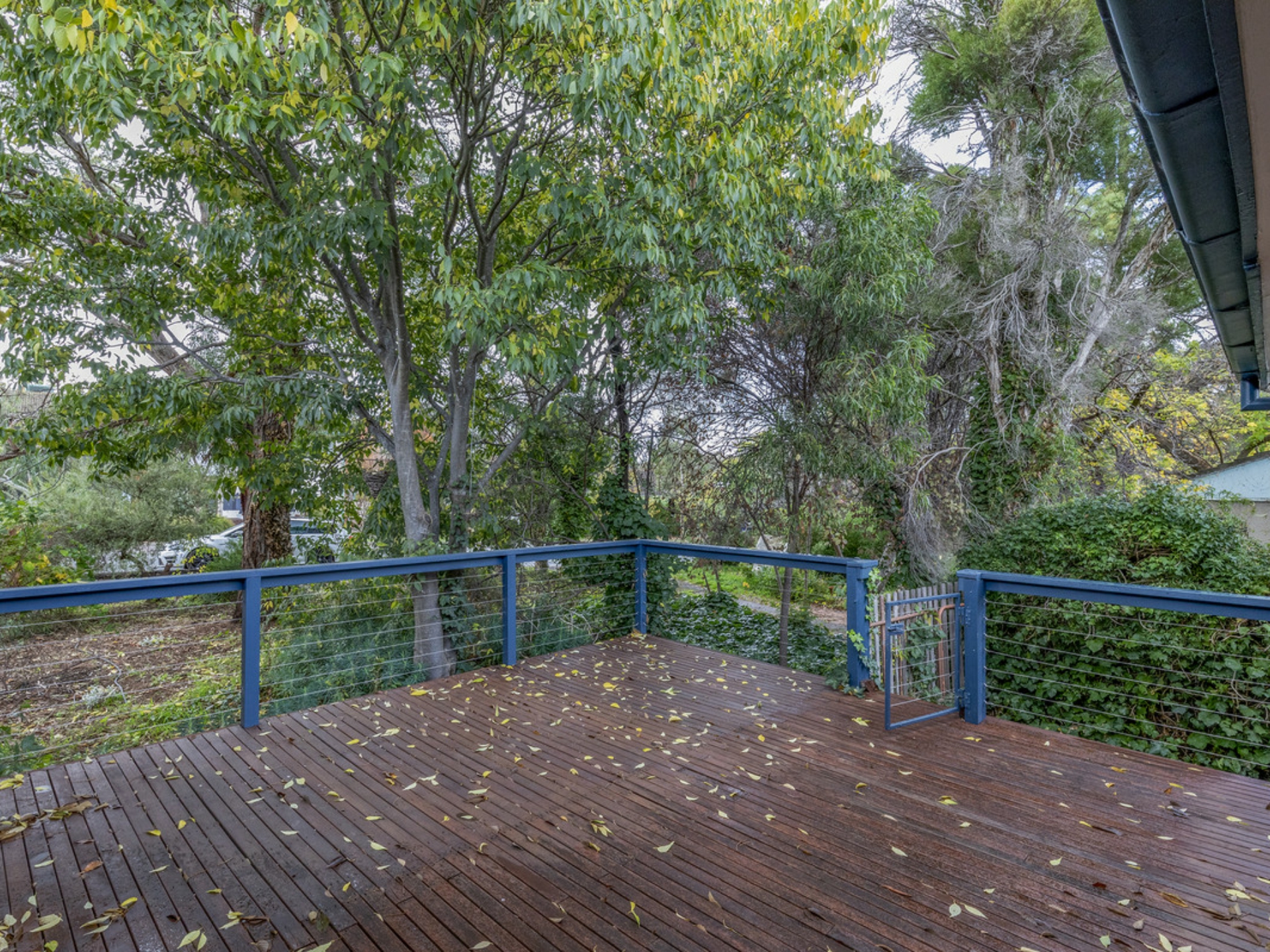 48 Glossop Crescent, CAMPBELL
