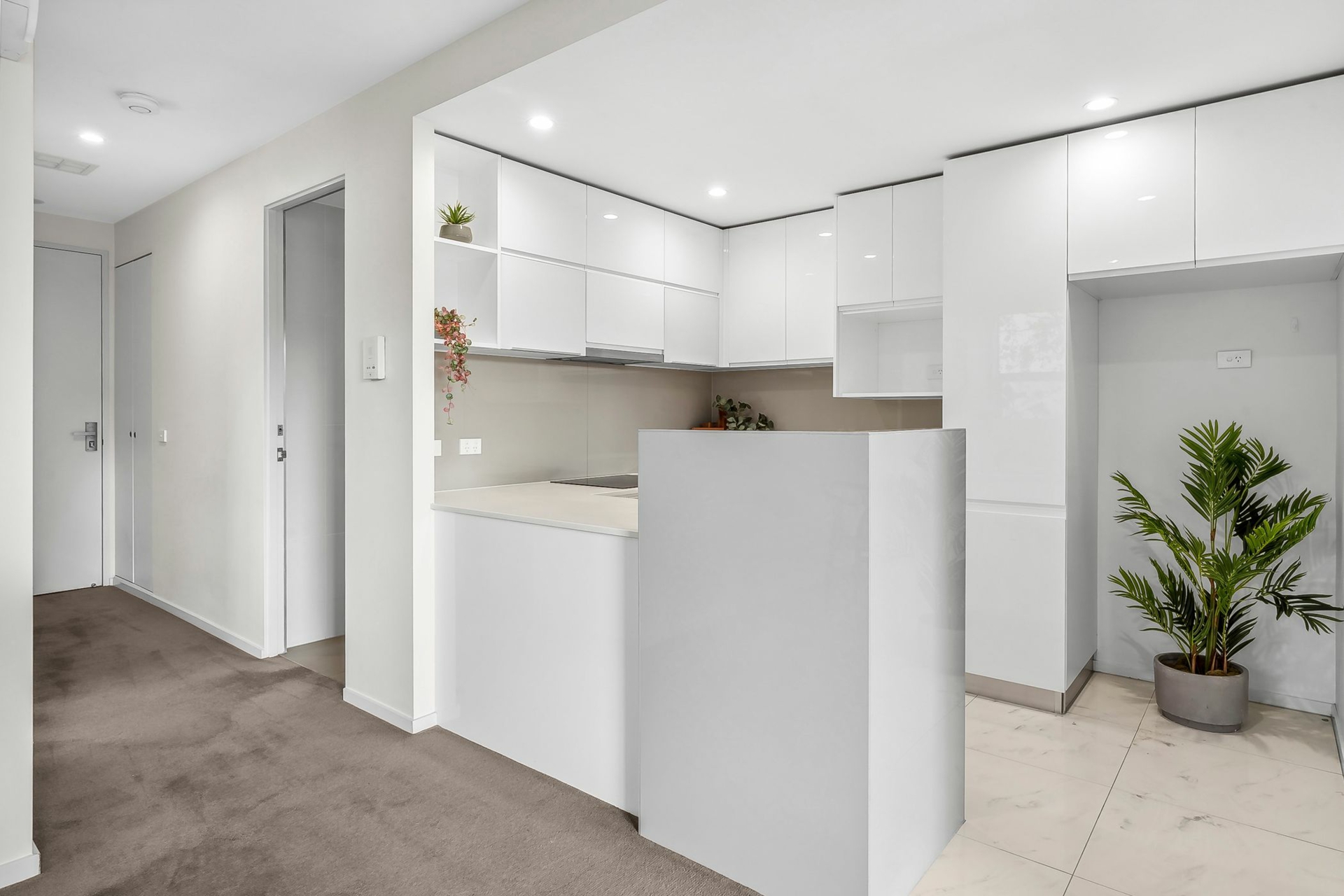 20/27 Berrigan Crescent, O'CONNOR