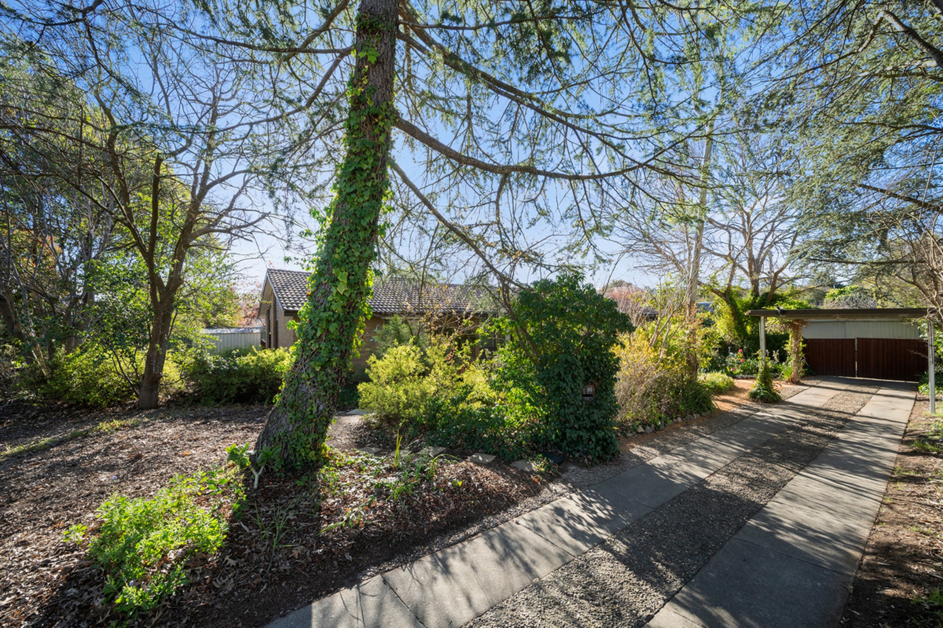31 Spica Street — photo 20 of 20