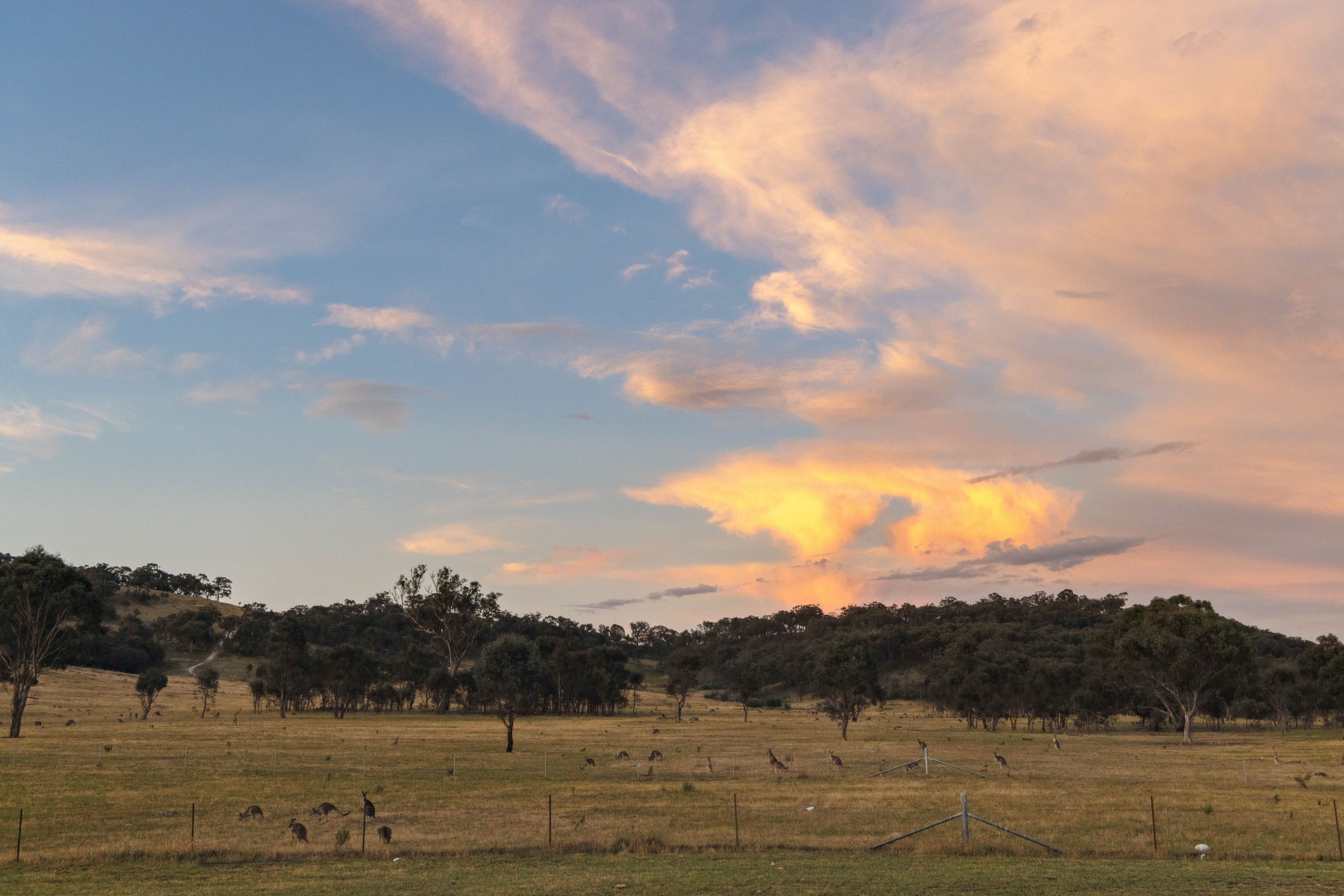 101 Henry Williams Street, BONNER