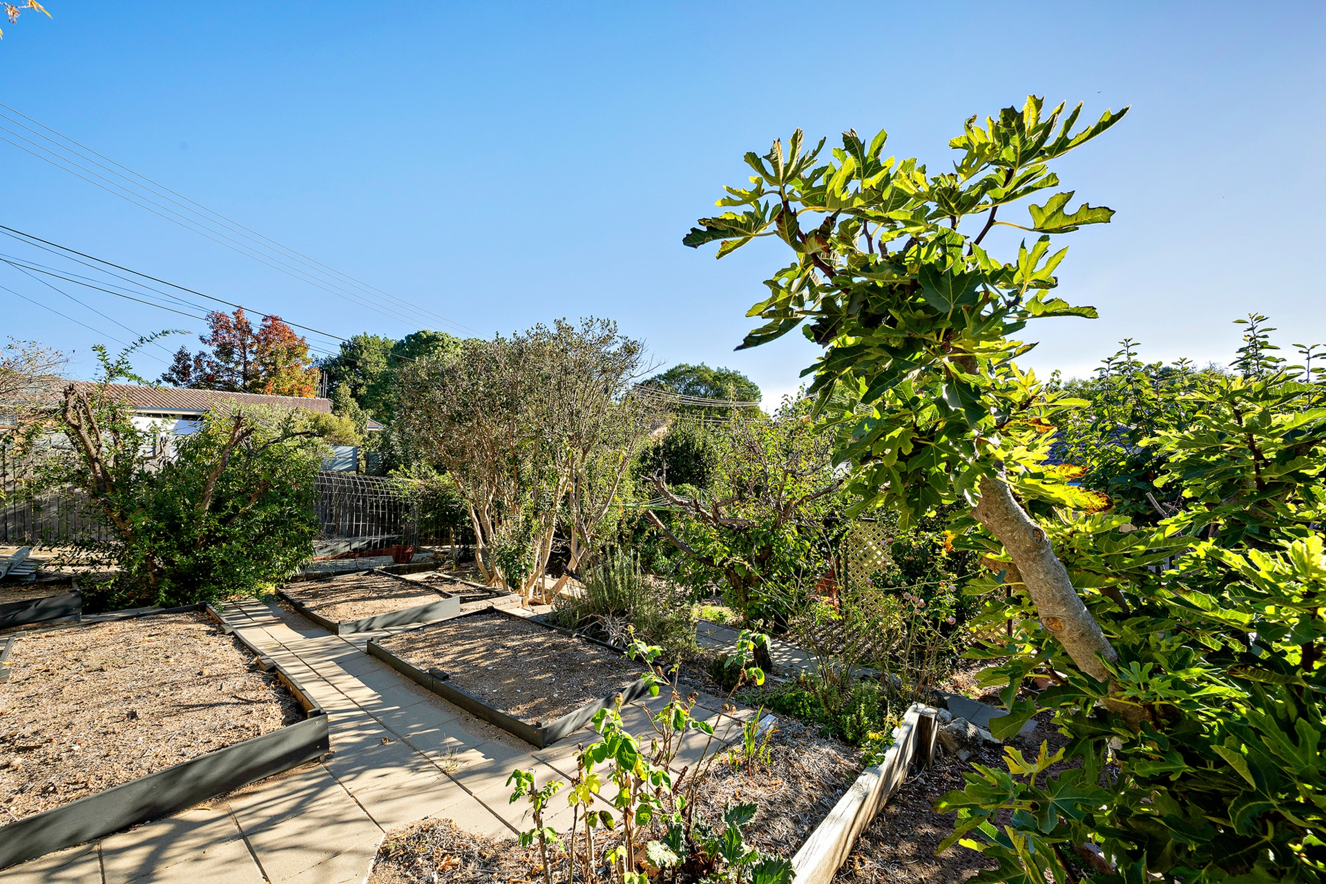 5 Coutie Place, MACGREGOR