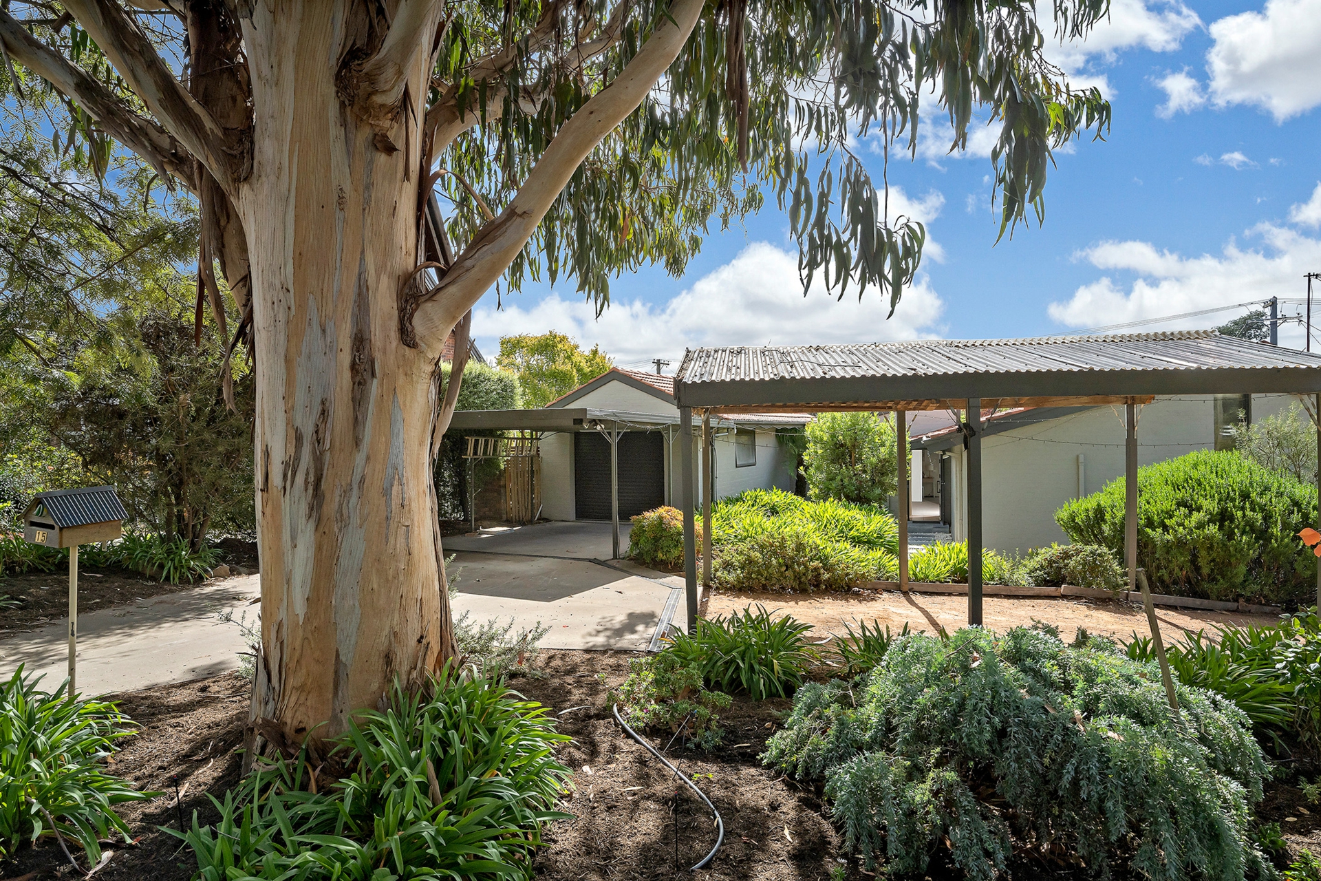 15 Wearing Street, HIGGINS