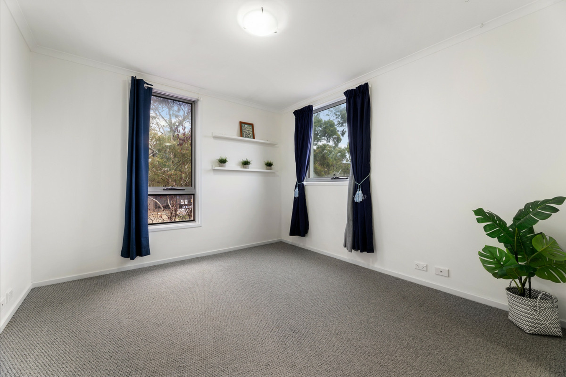 8/2 Eardley Street — photo 7 of 16