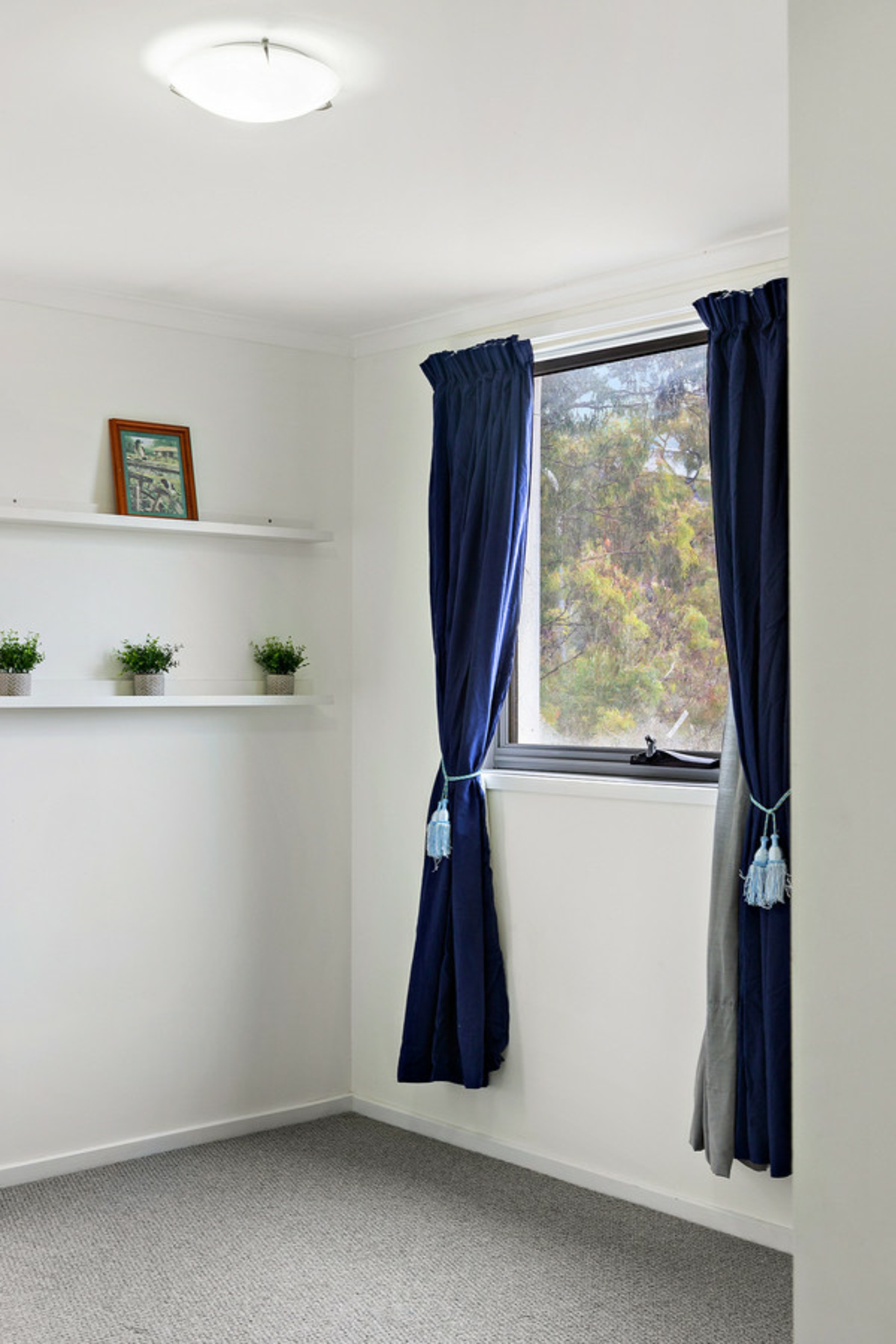 8/2 Eardley Street — photo 8 of 16