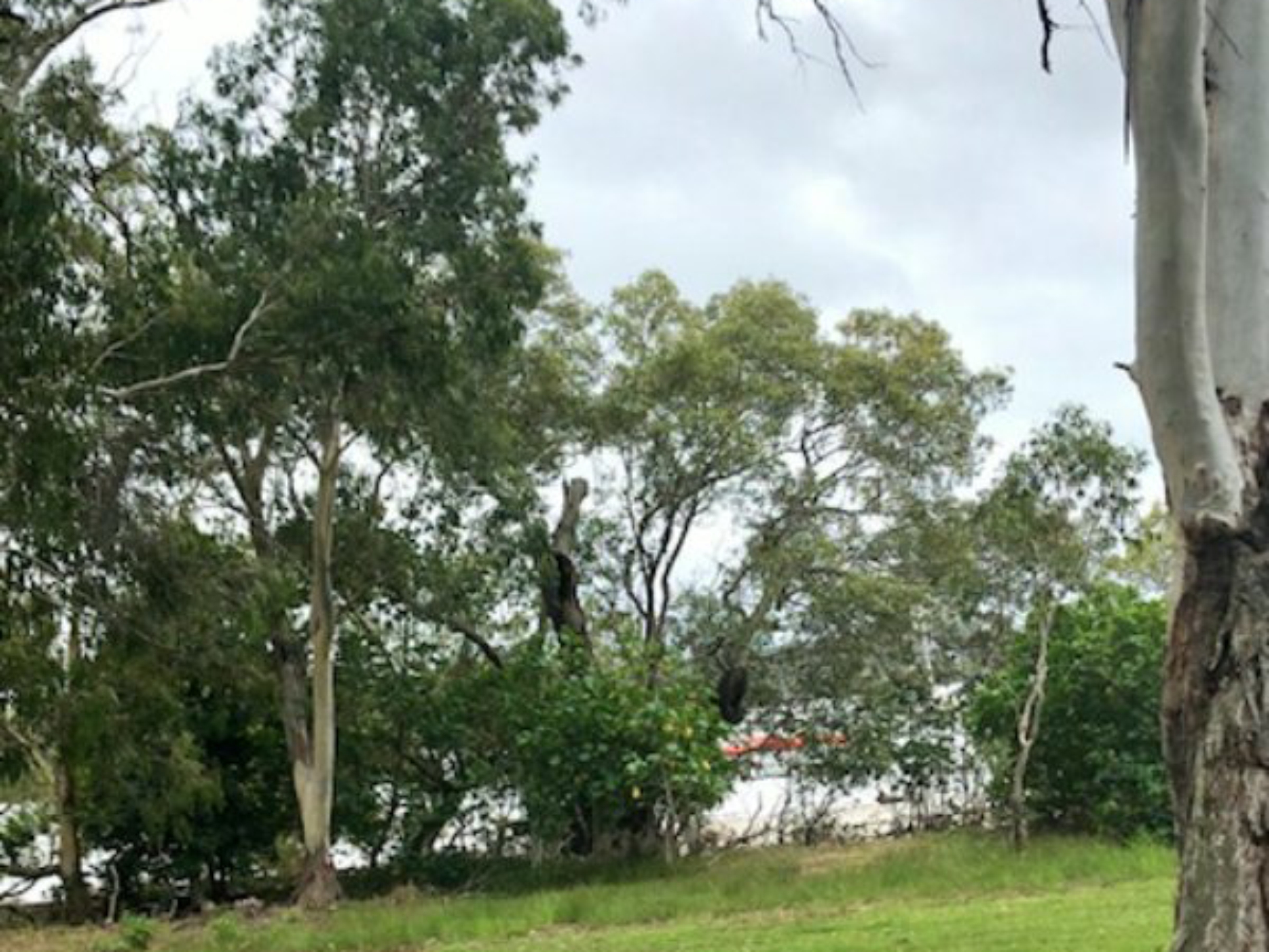 108 The Esplanade Karragarra Island QLD Property Details LJ Hooker