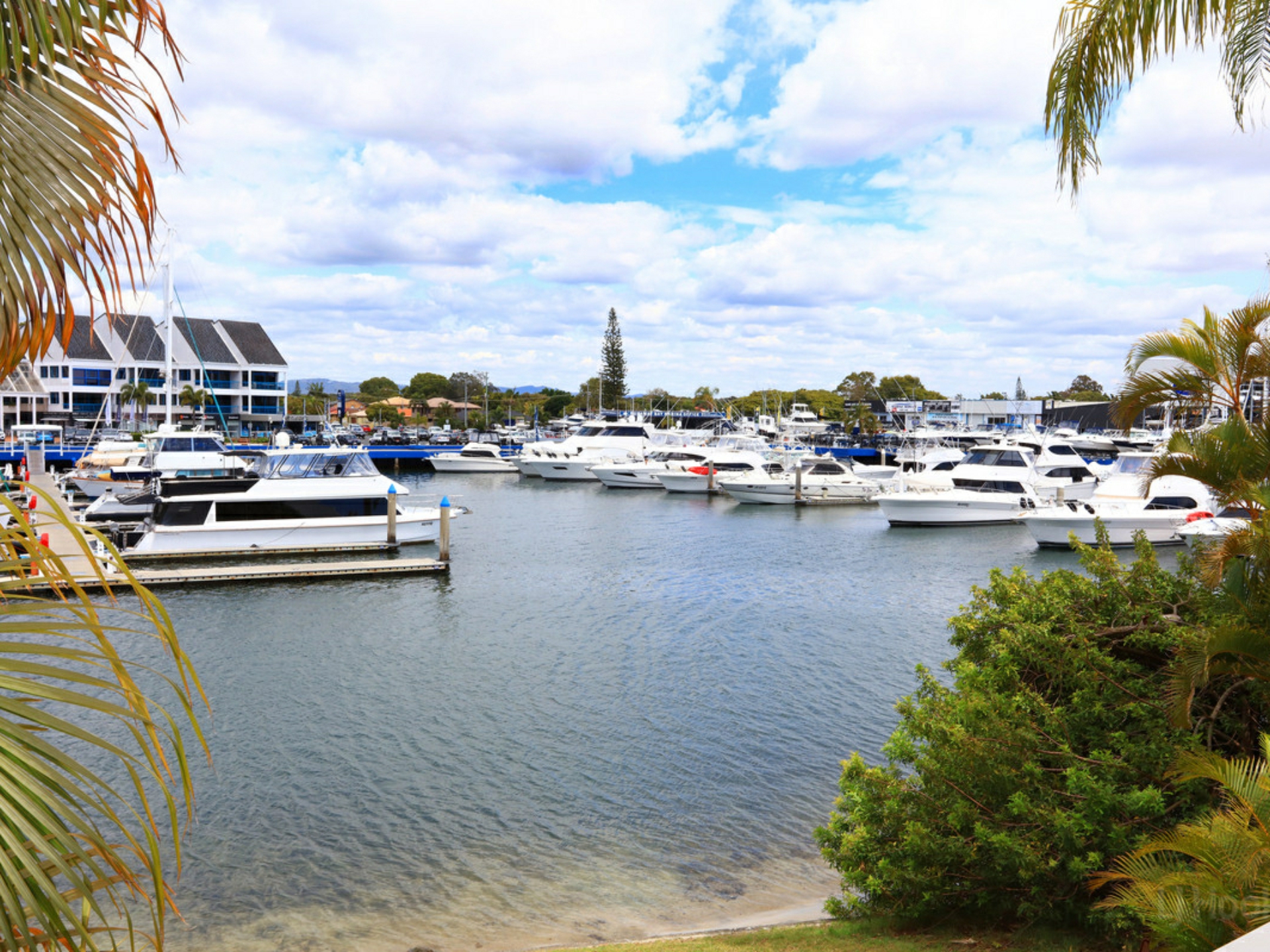 36/3 Marina Crescent, HOLLYWELL