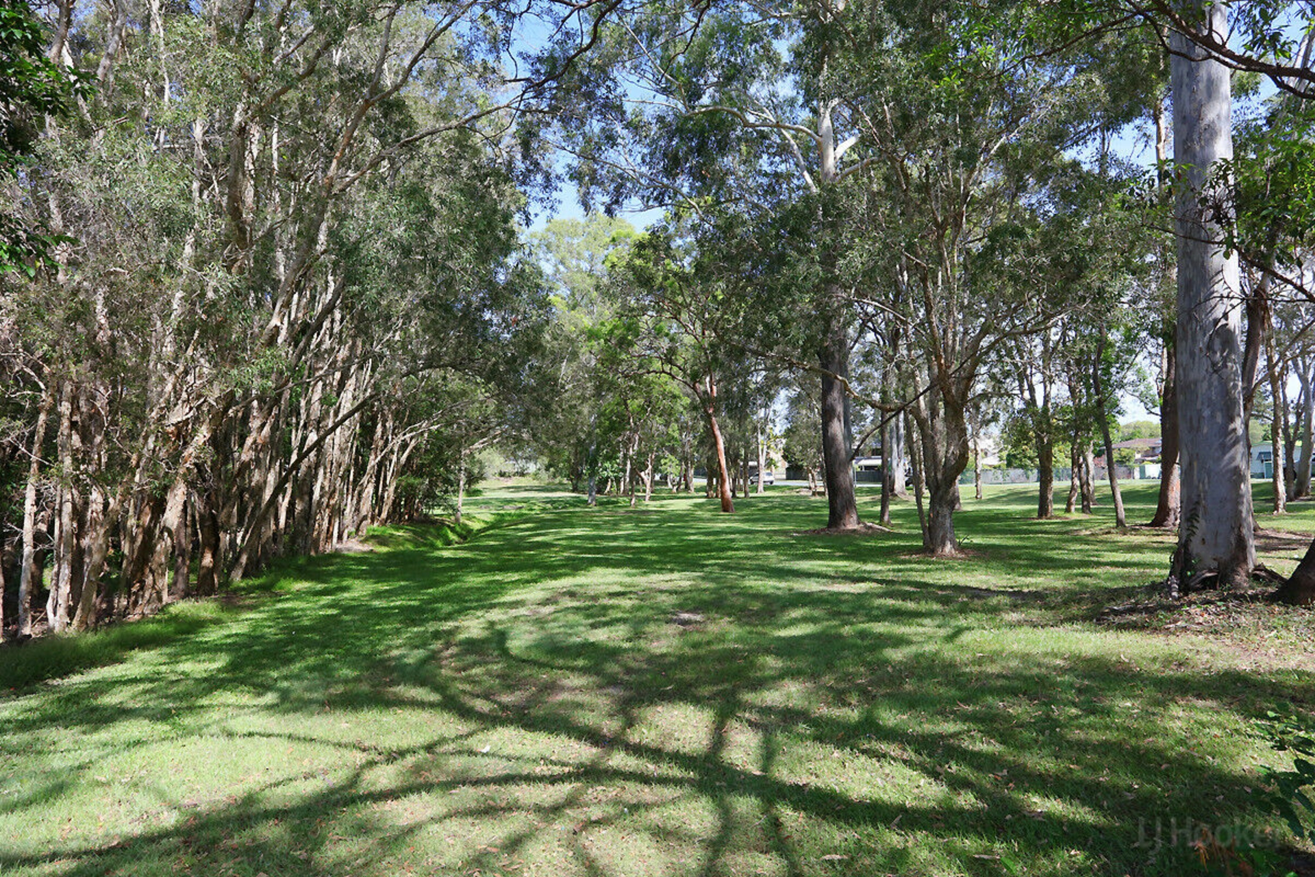 9/27 Rain Tree Glen, COOMBABAH