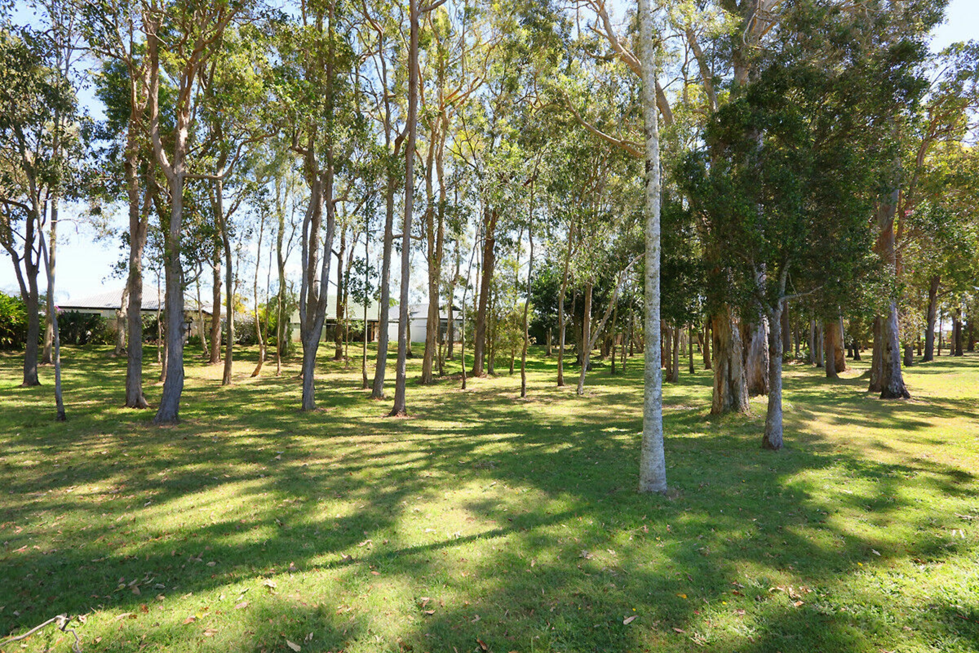 24 Tarni Street, Coombabah