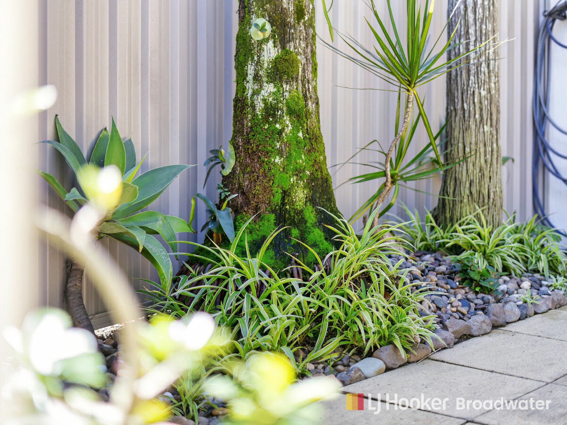 8/71 Olsen Avenue, LABRADOR