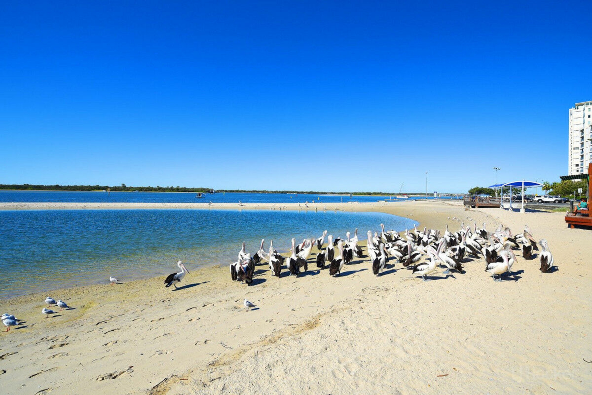 904/372 Marine Parade, LABRADOR