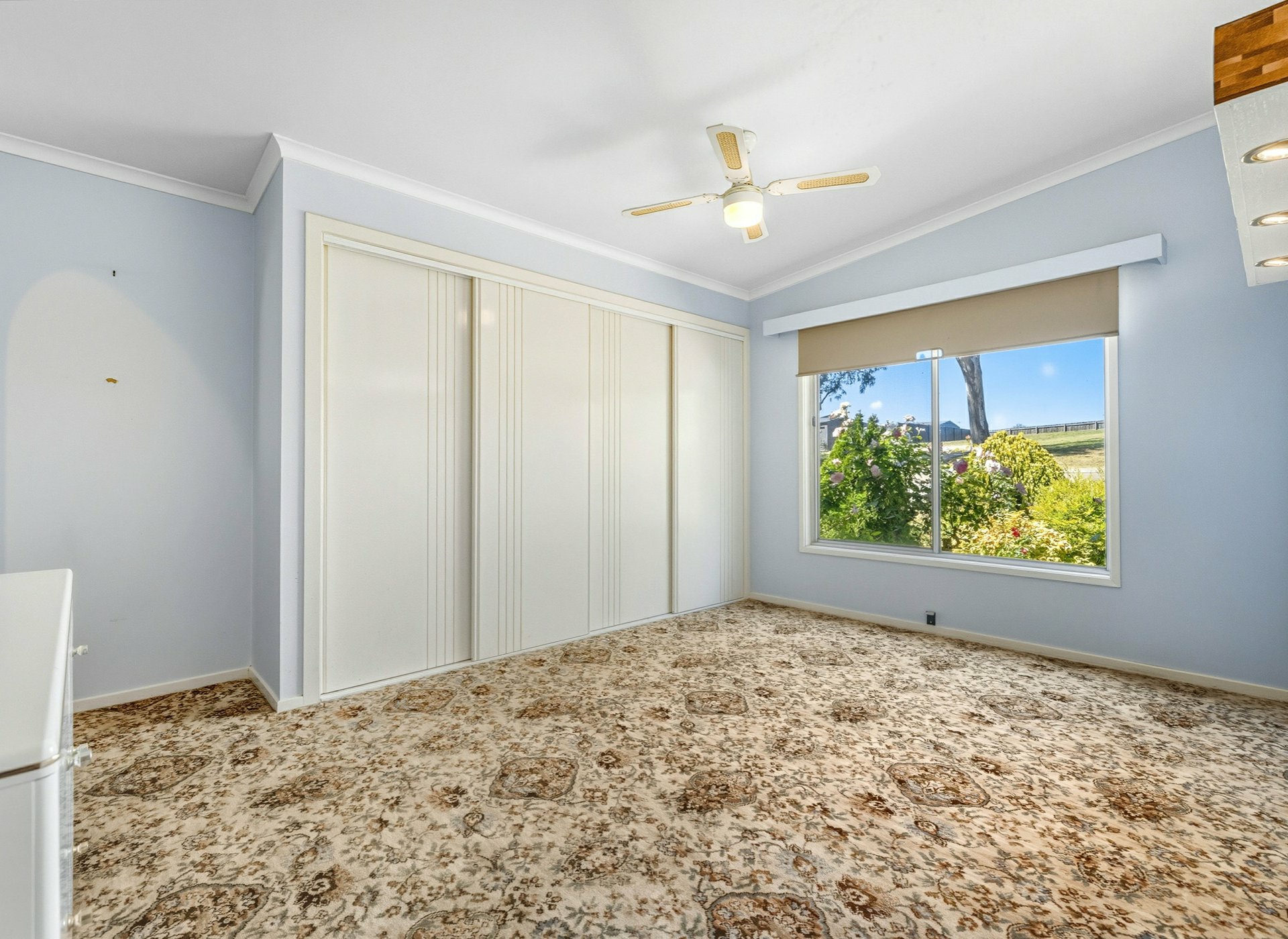 6 Hoskin Street — photo 10 of 18