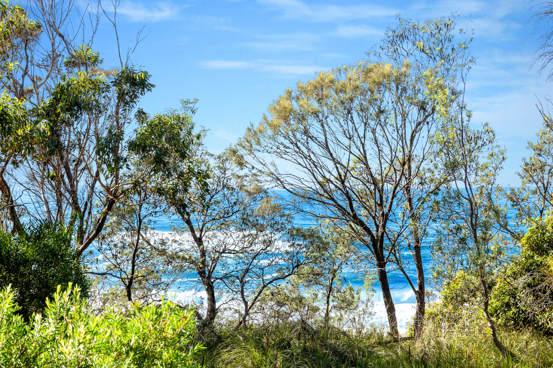 14 Point Parade — photo from LJ Hooker Narooma