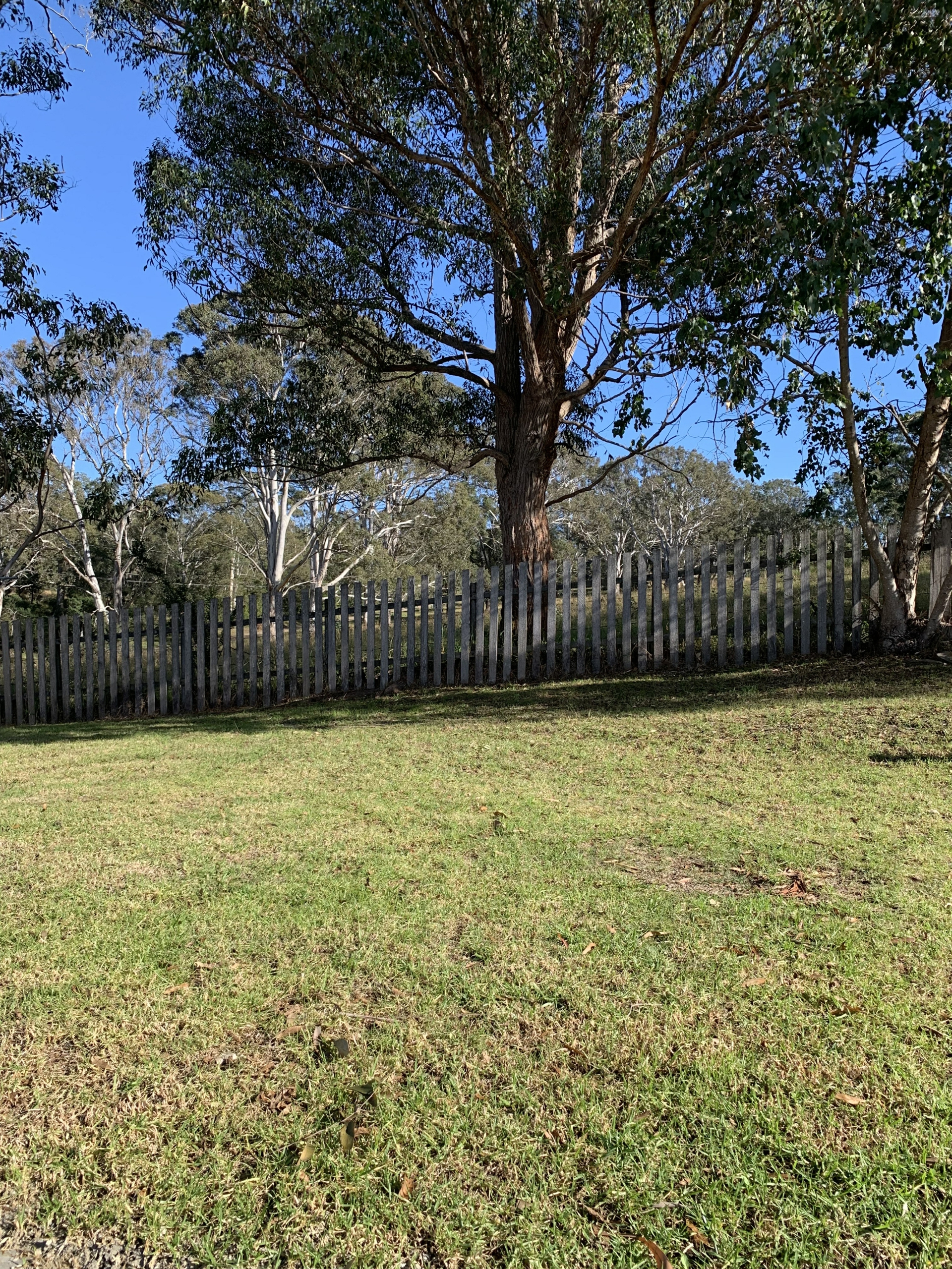 Moruya, 2537 — photo 8 of 8