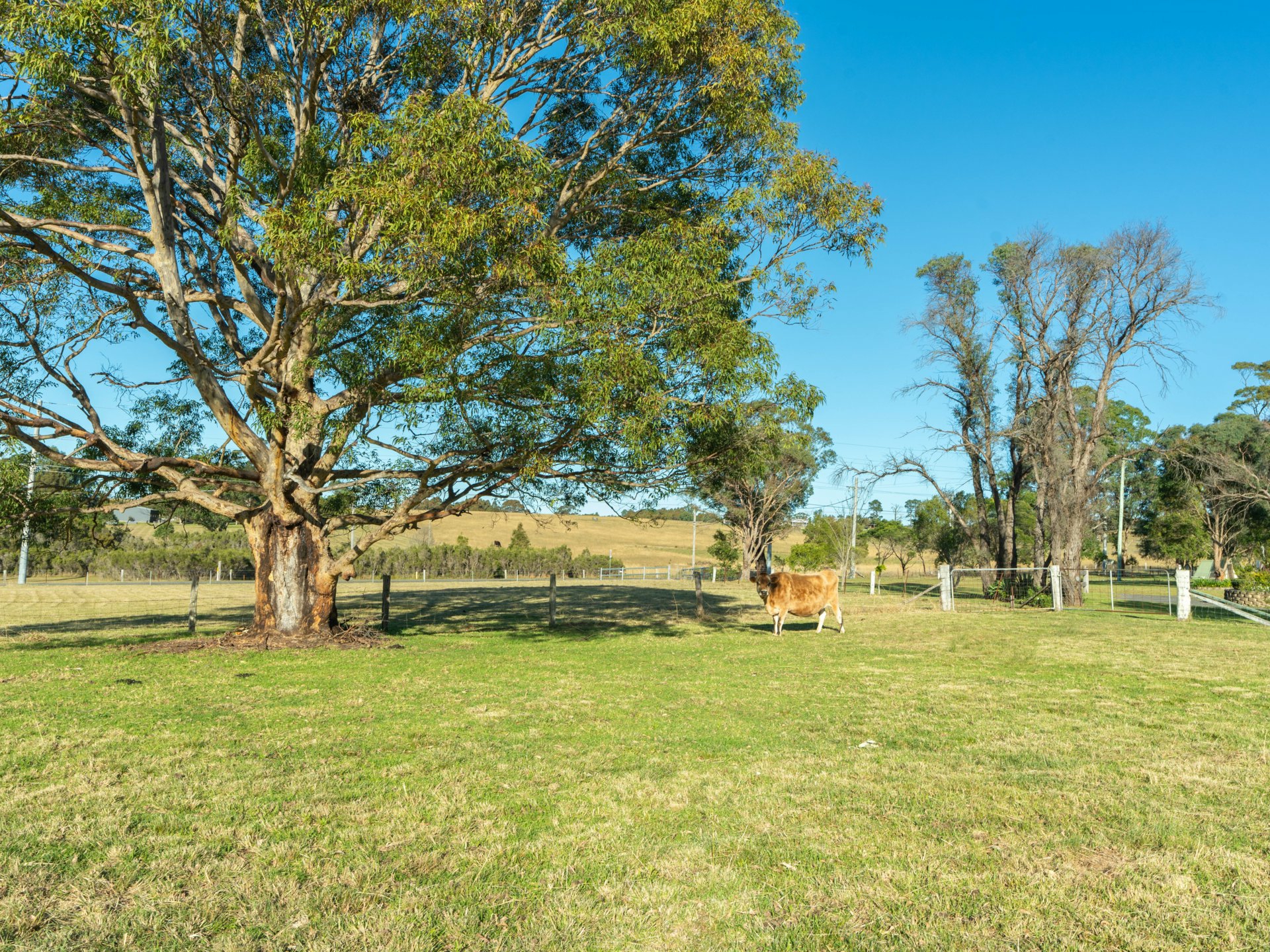 150 Btu Road, NOWRA HILL