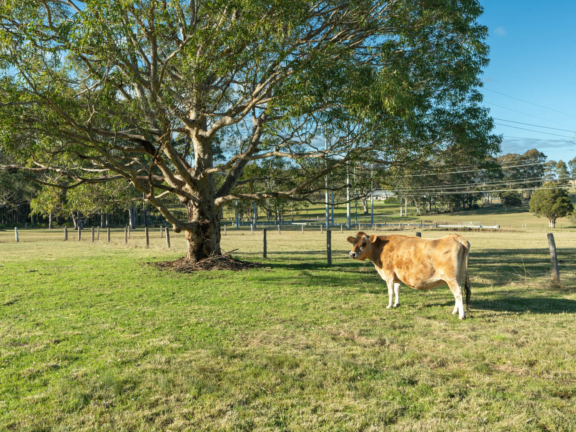 150 Btu Road, NOWRA HILL