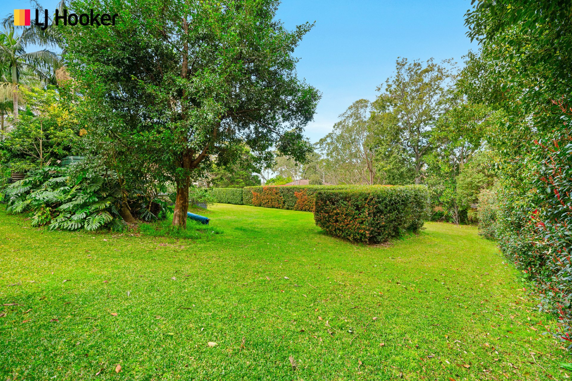 99 Kangaroo Valley Road — photo 26 of 30