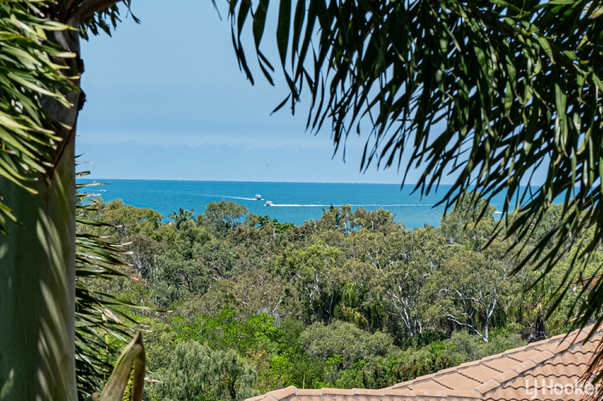 6 Brigalow Place, LAMMERMOOR