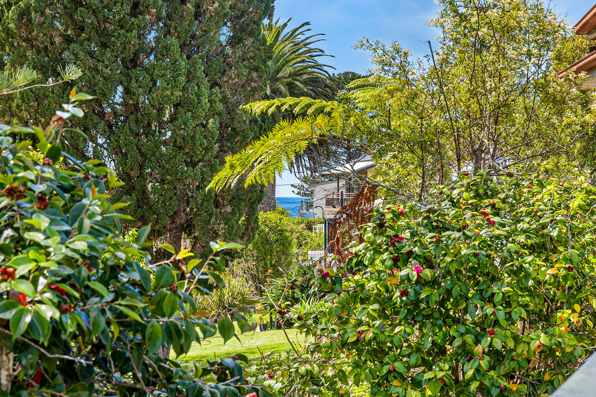 37 Jutland Avenue, TUROSS HEAD