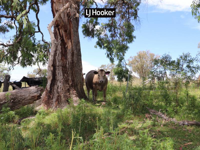 1697 Bingara Road, BUNDARRA