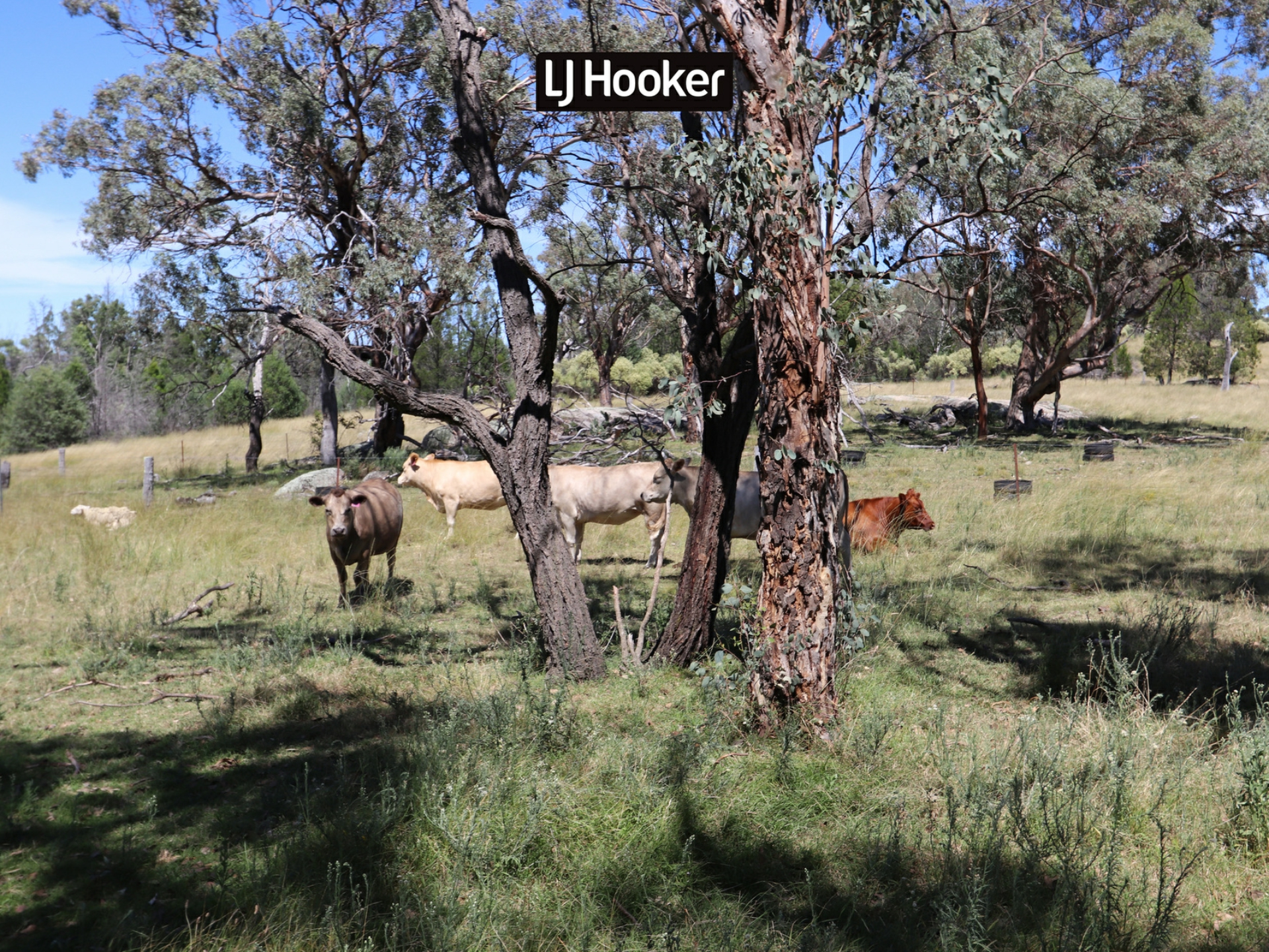 1697 Bingara Road, BUNDARRA