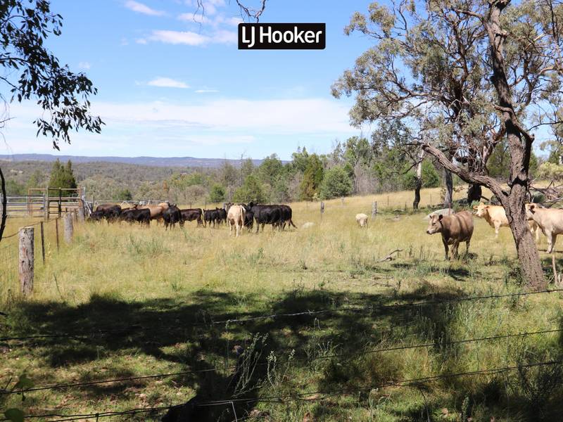1697 Bingara Road, BUNDARRA