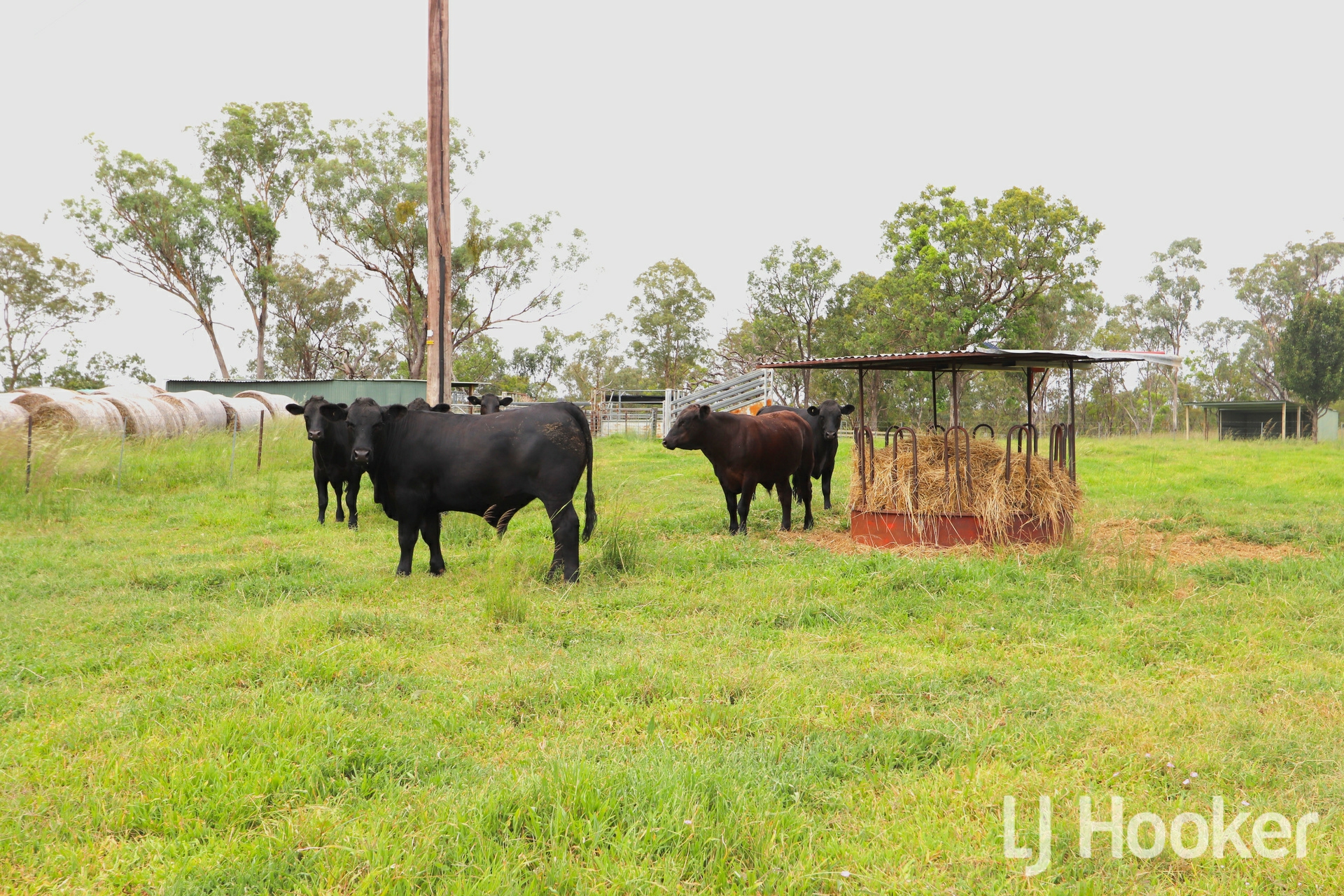 Inverell, 2360