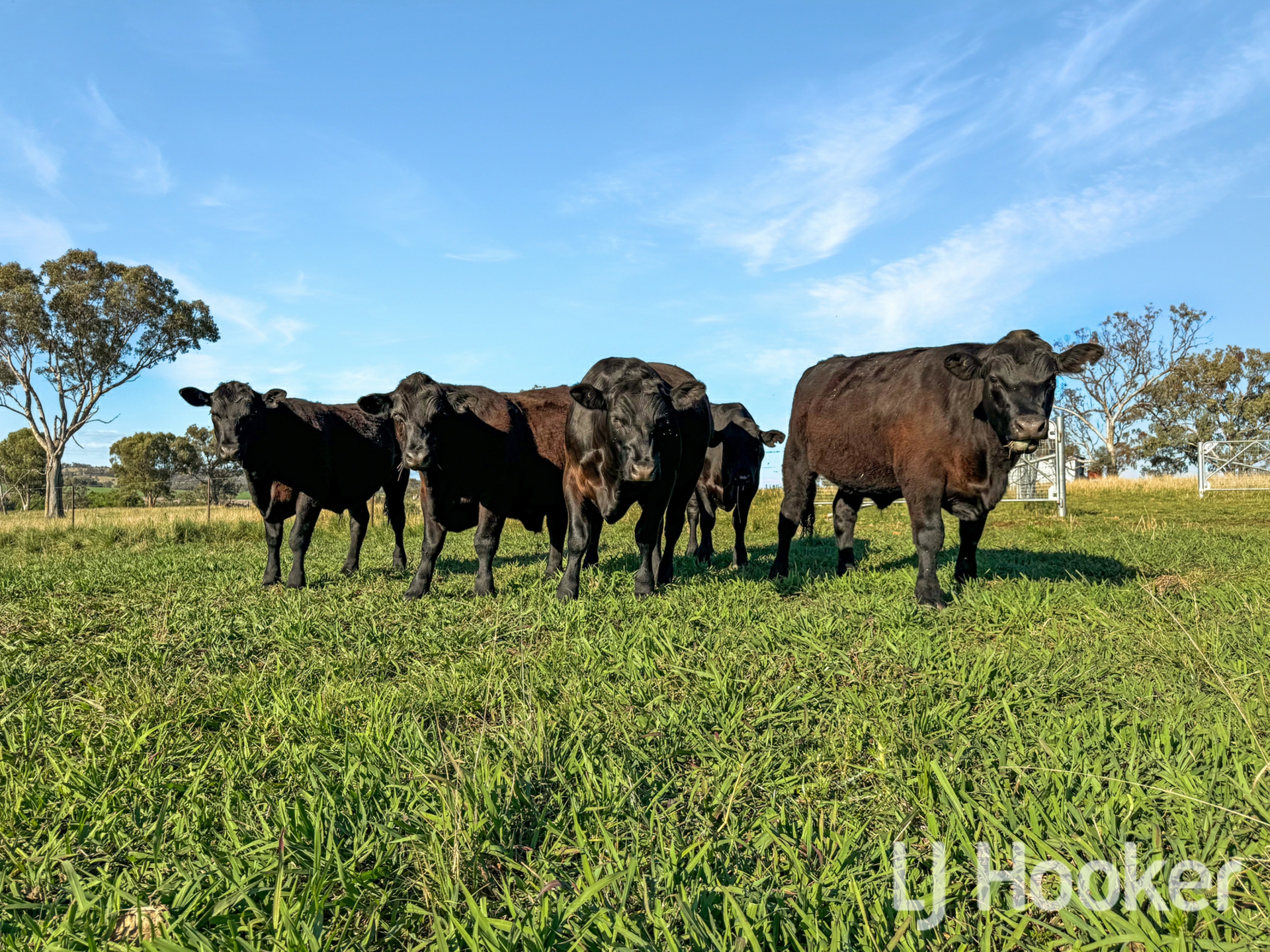 116 McLean Road, INVERELL