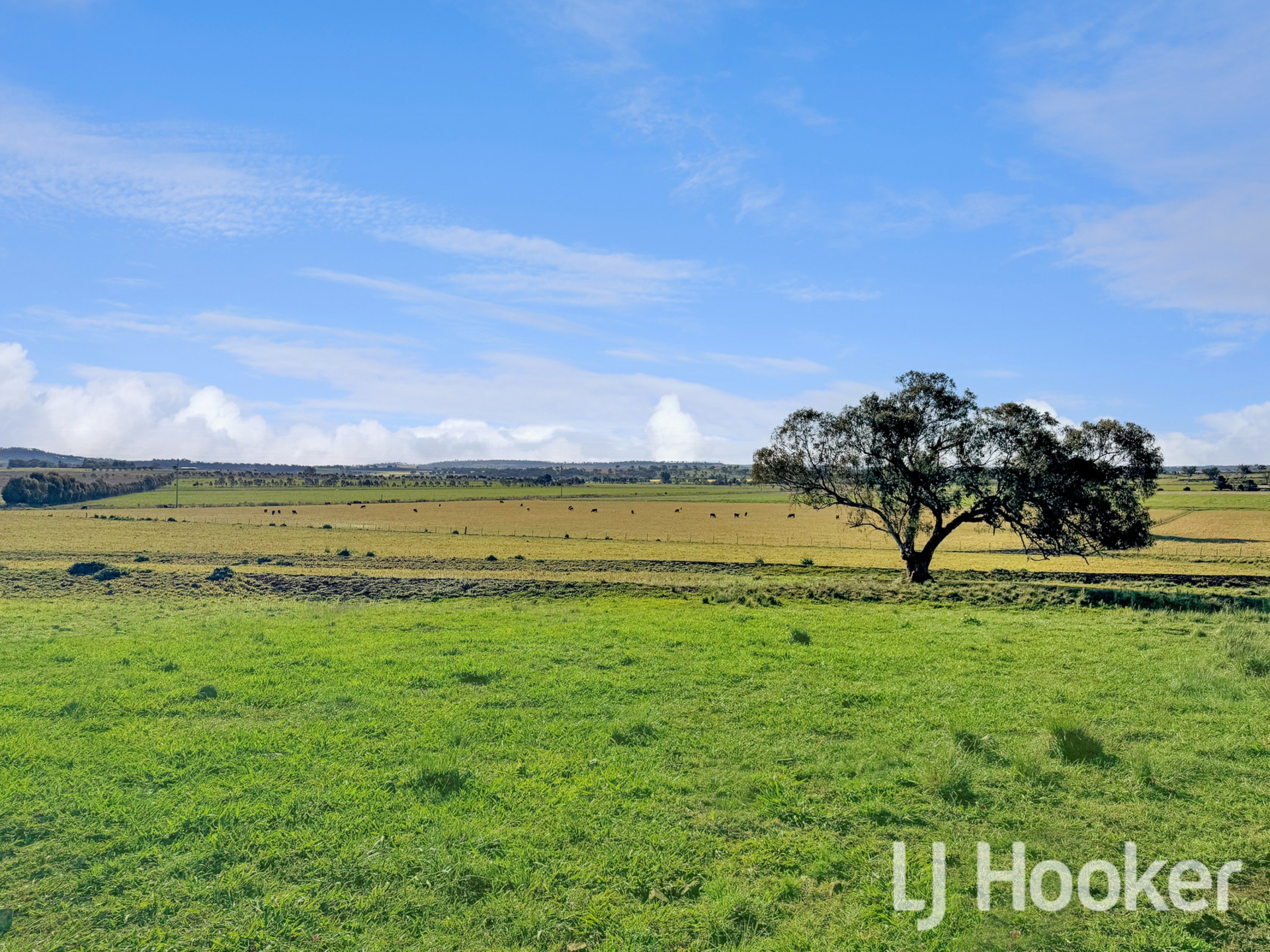 116 McLean Road, INVERELL
