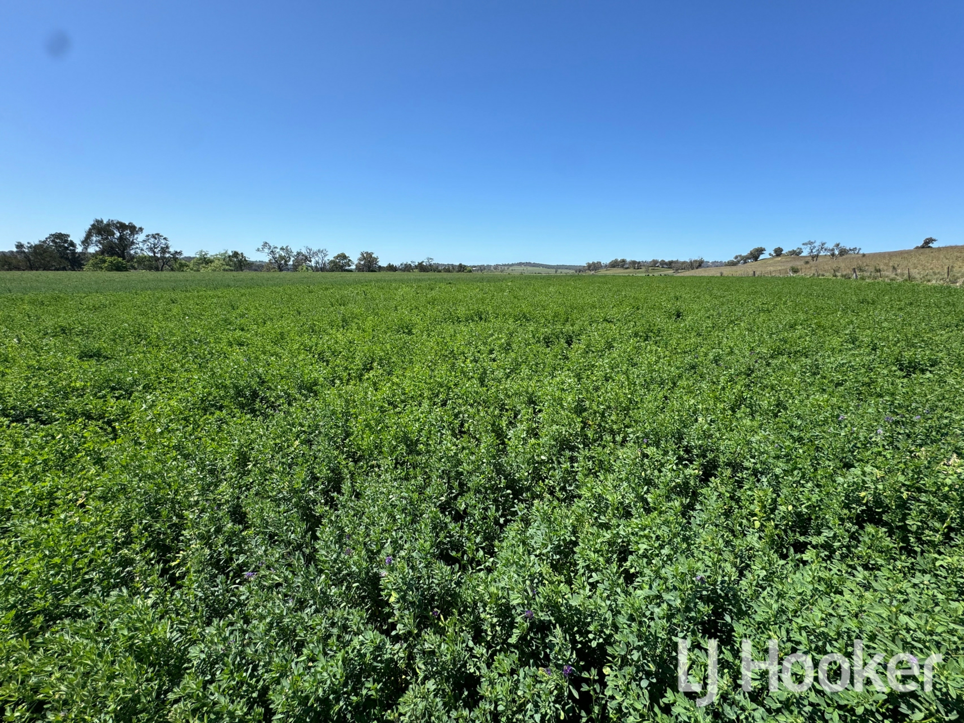 116 McLean Road, INVERELL
