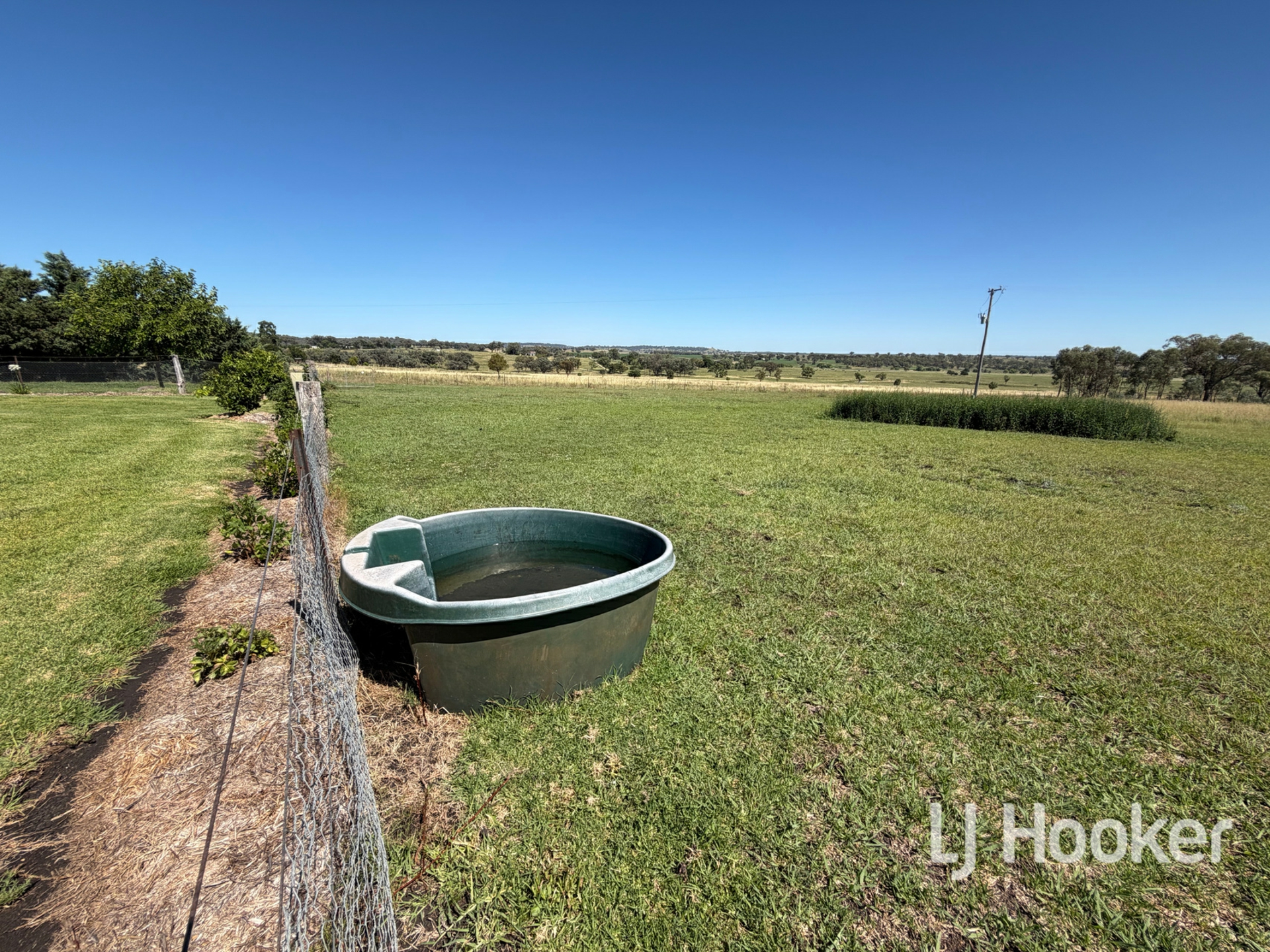 71 Gillespies Lane — photo 27 of 30