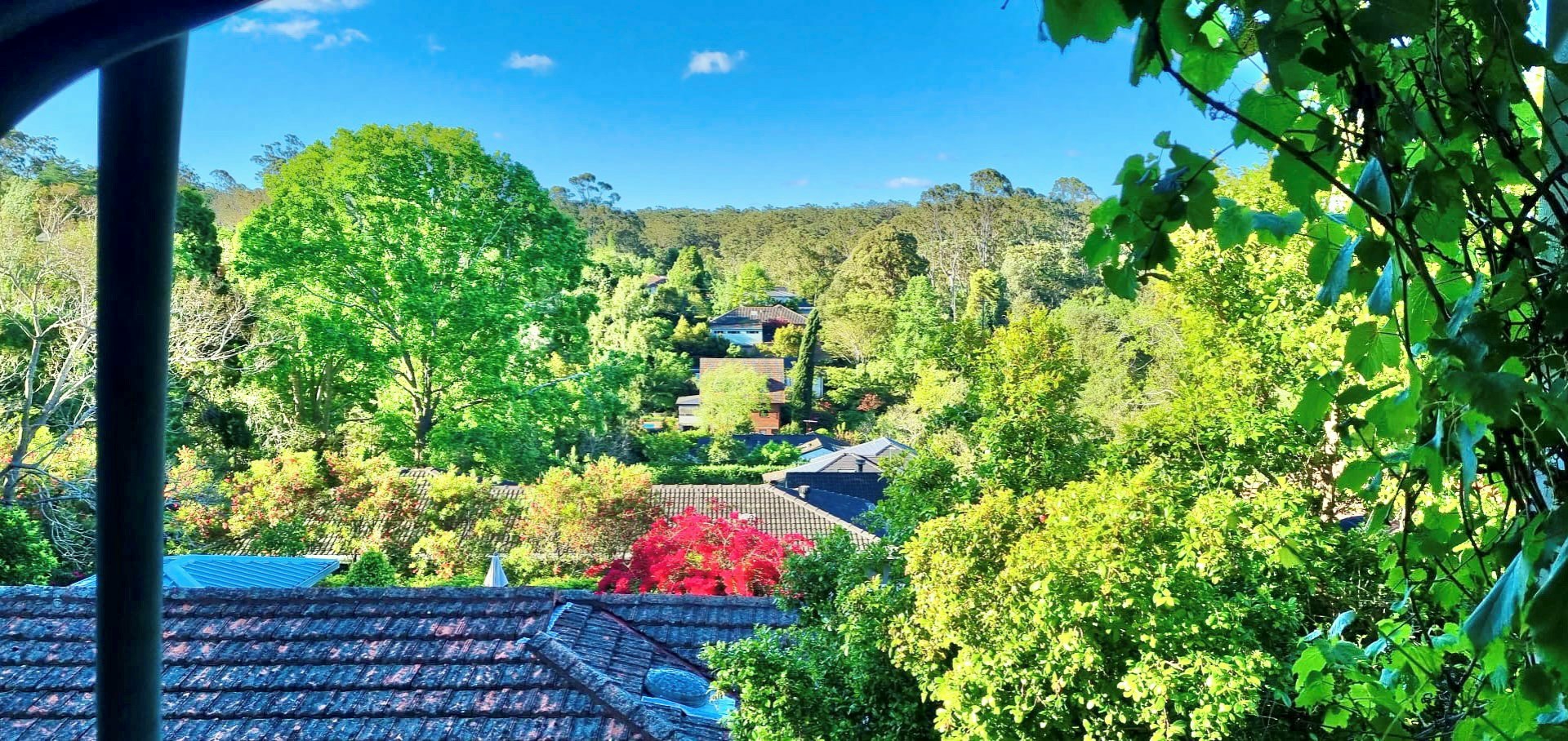 40 Kulgoa Road, PYMBLE
