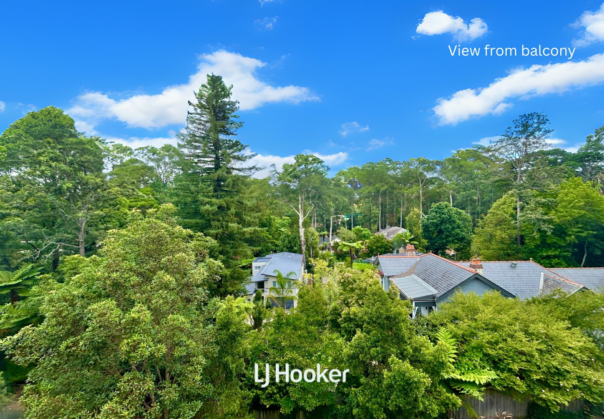 508/5 Pymble Ave, PYMBLE