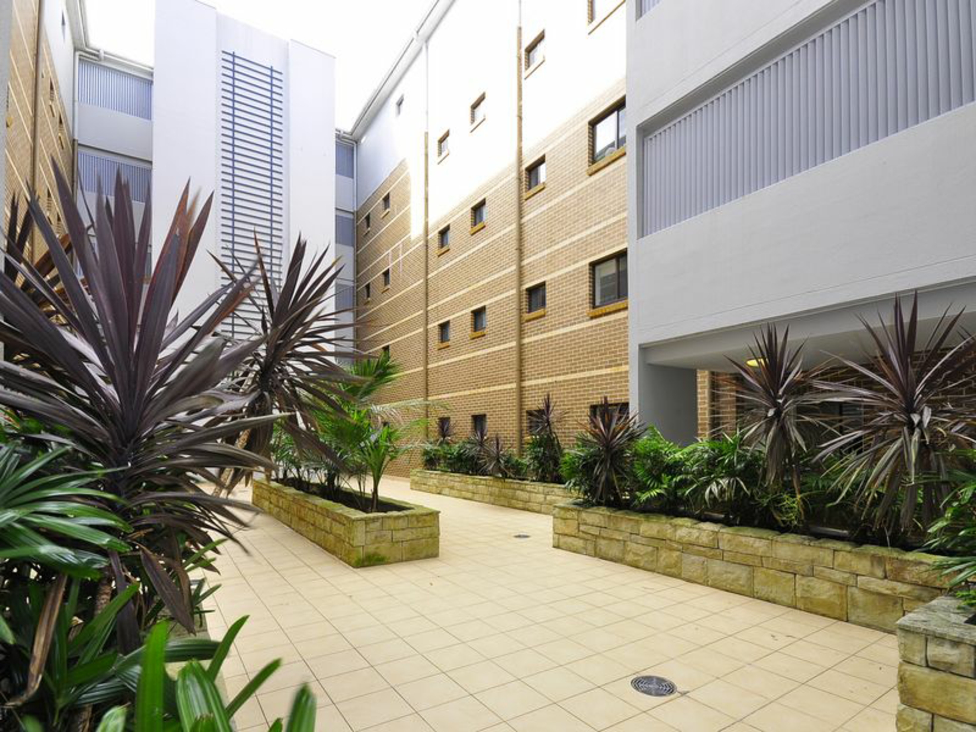 3/1155 Pacific Hwy, PYMBLE