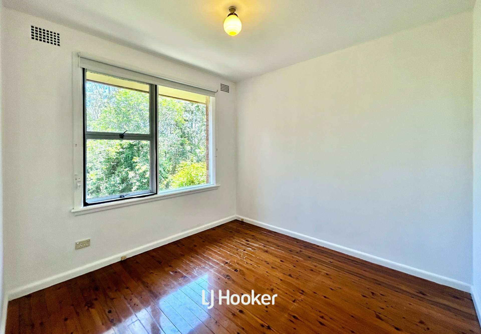 41 Elgin Street — photo 8 of 11