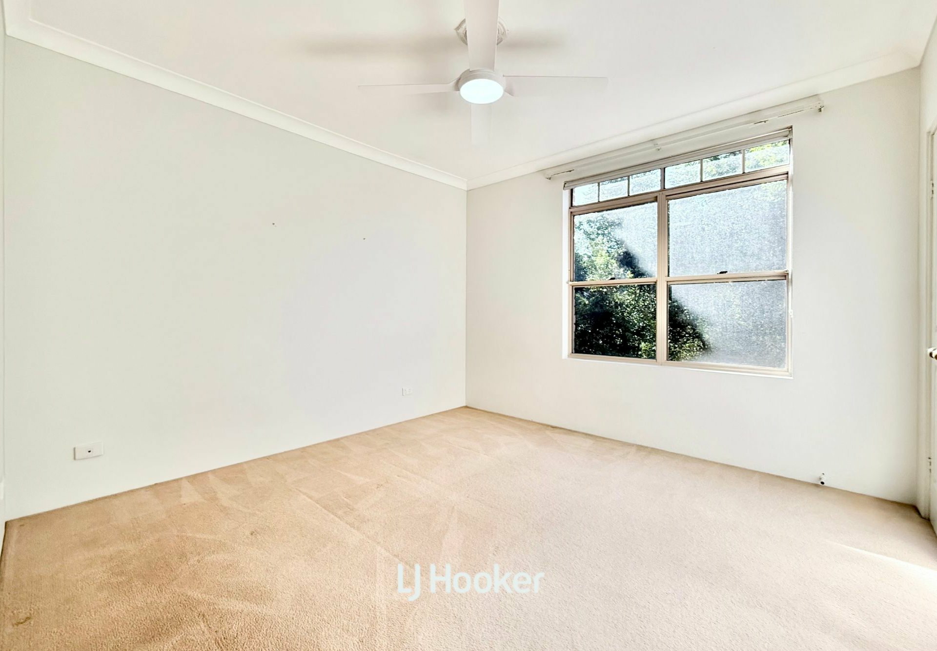 113/183 St Johns Ave — photo 11 of 20