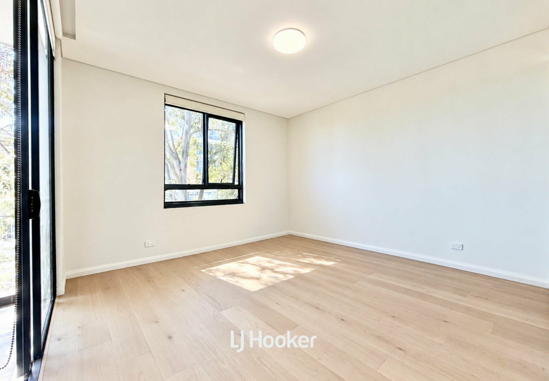 20/8 Mcintyre St — photo 7 of 12