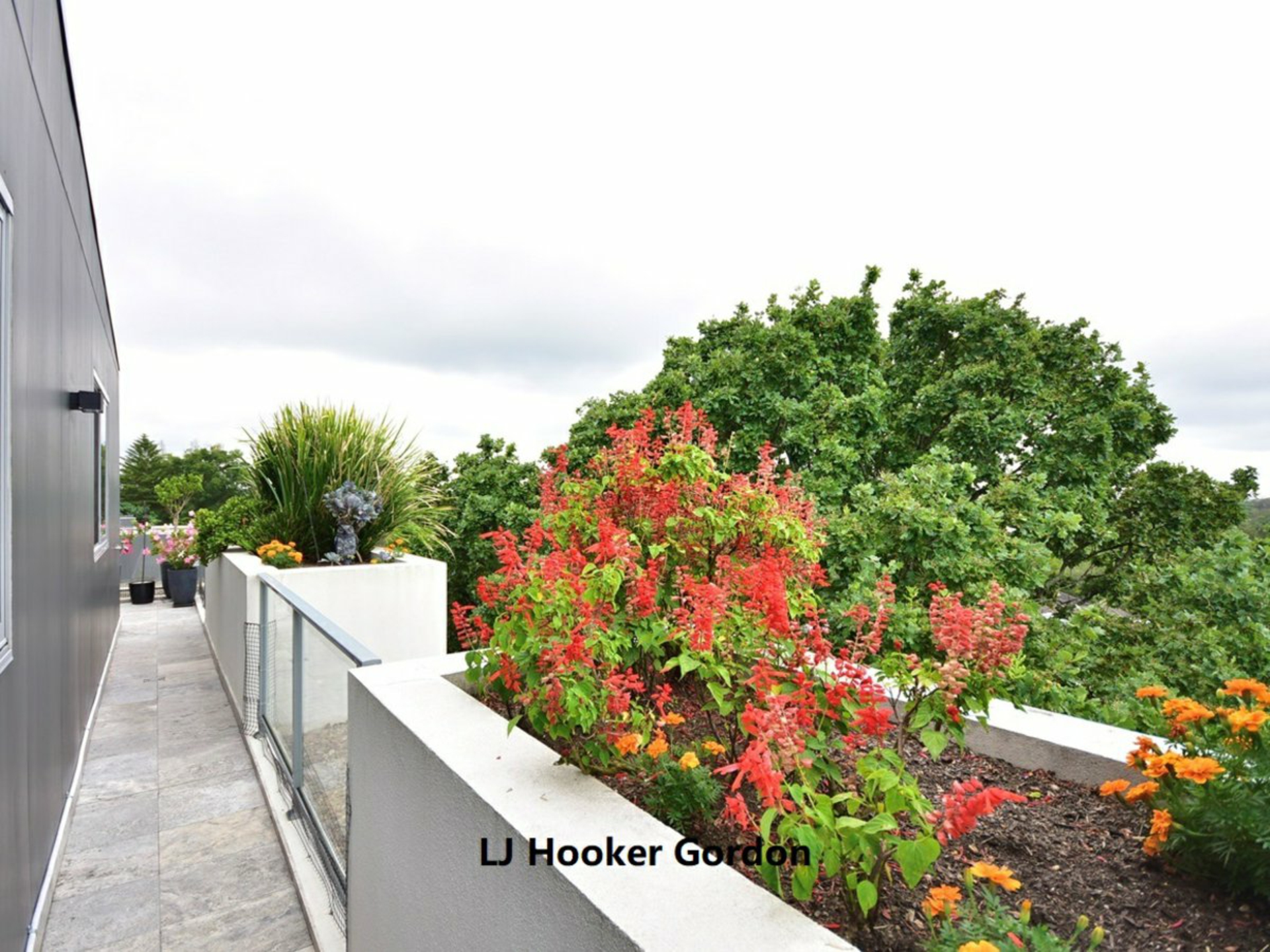 2405/177 Mona Vale Road — photo 7 of 17