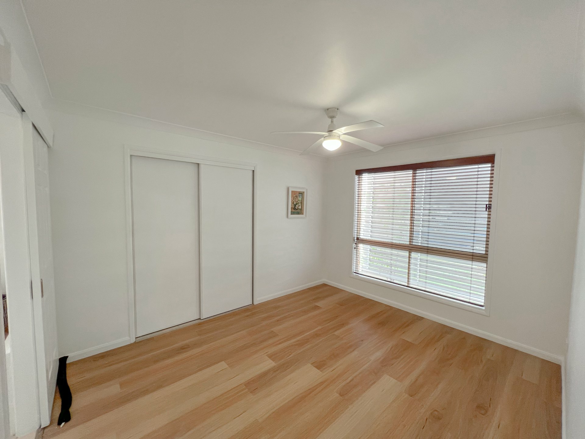 84 Jasmin Drive, BONGAREE