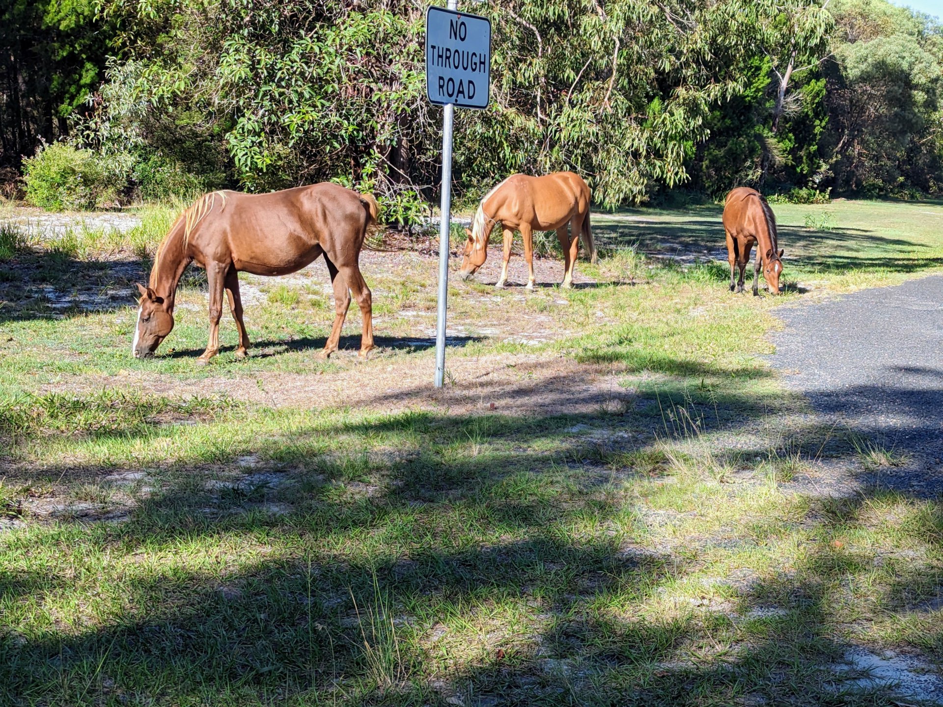 178 White Patch Esplanade White Patch QLD House for Rent LJ Hooker