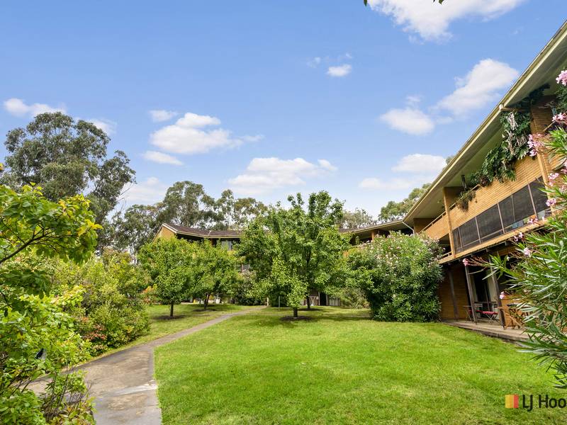 53/7 Medley Street, CHIFLEY