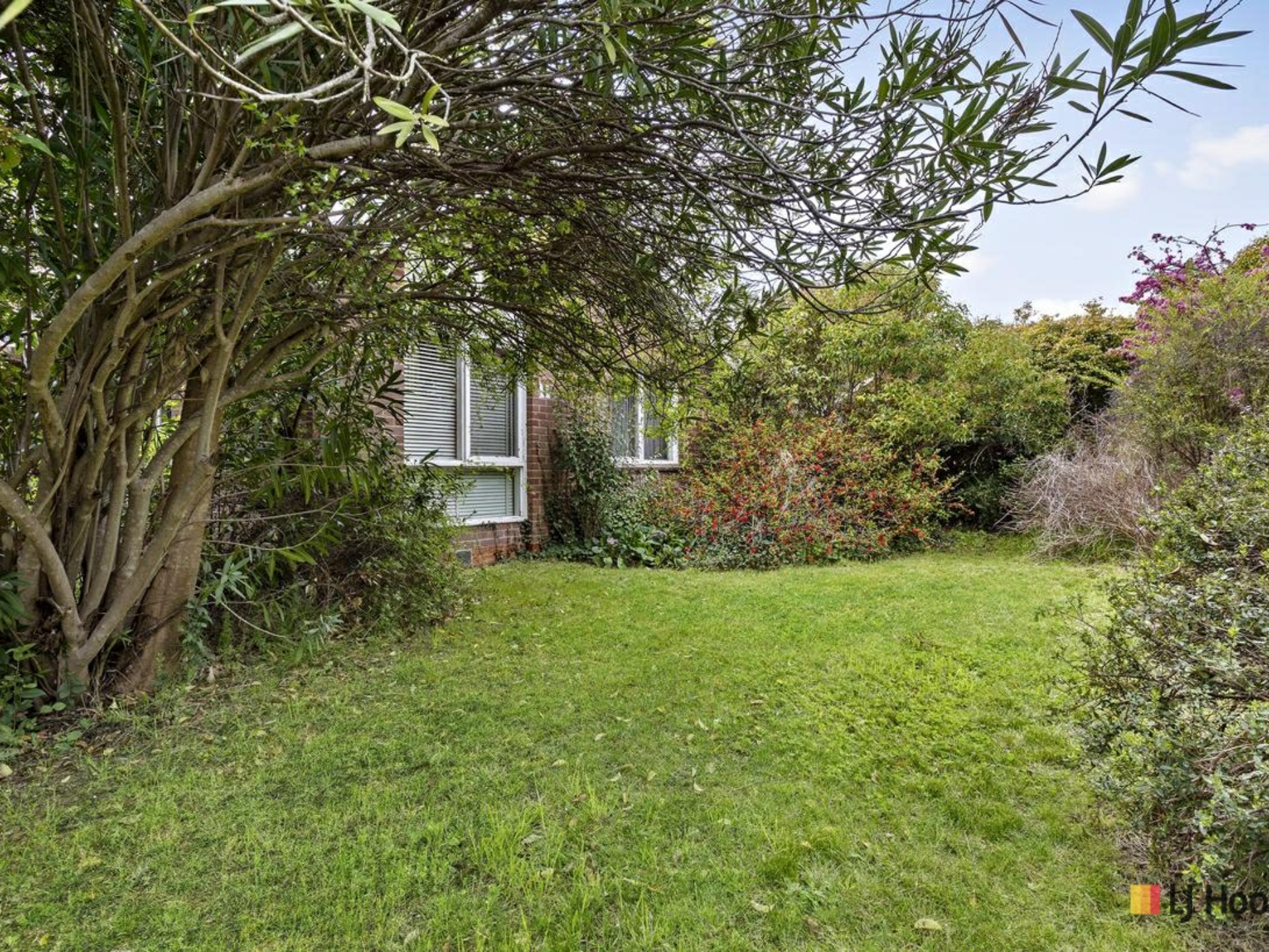 11 Tyson Street, AINSLIE