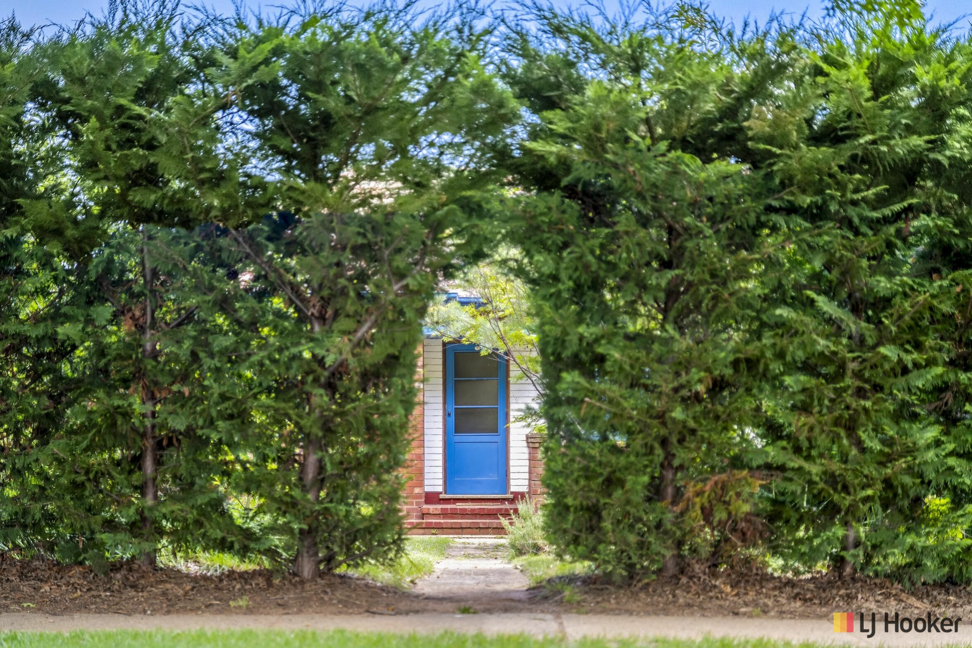 81 Ebden Street, AINSLIE