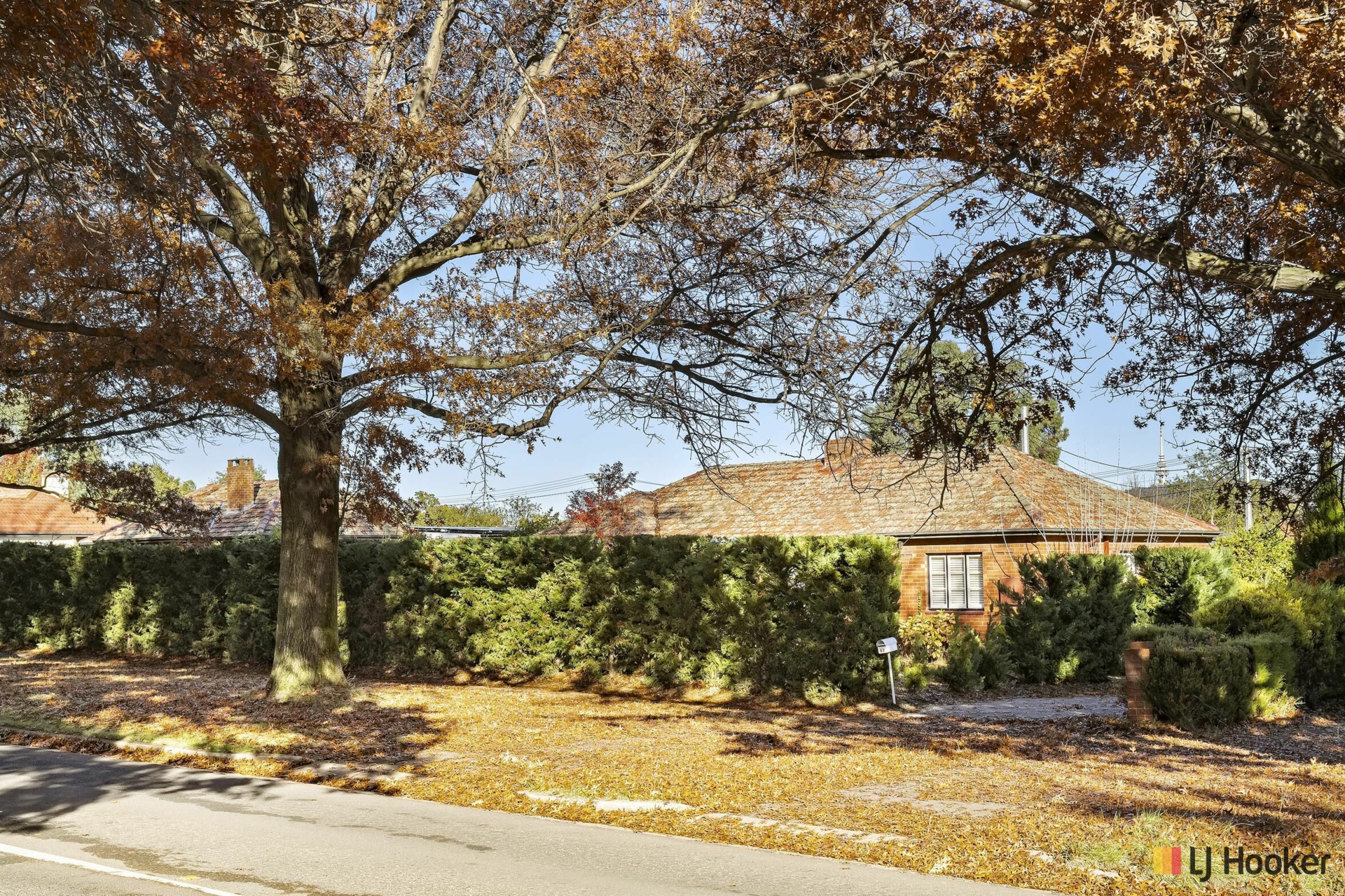 83 Ebden Street, AINSLIE