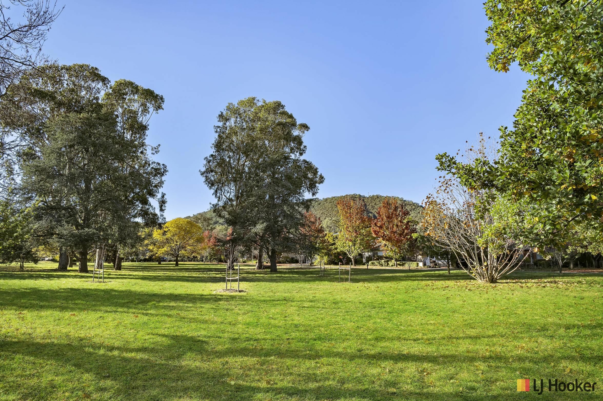 83 Ebden Street, AINSLIE