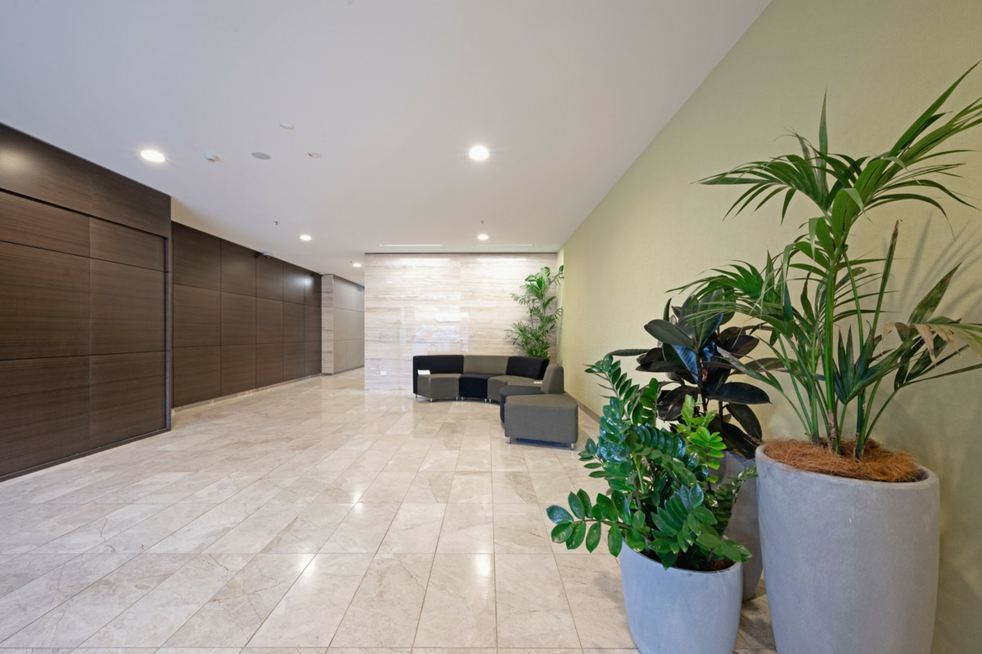 Braddon, 2612