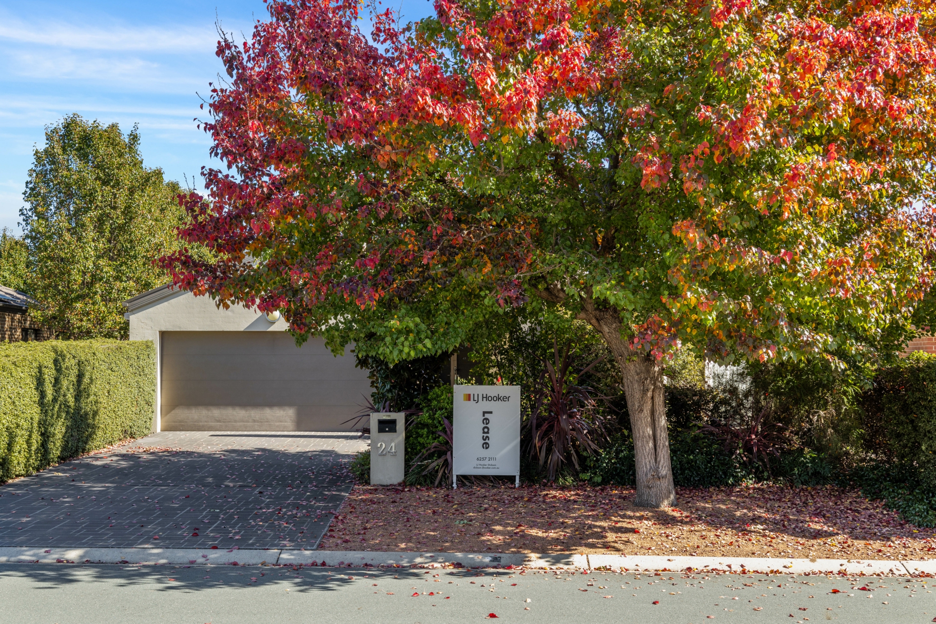 24 Mary Kitson Street, WATSON