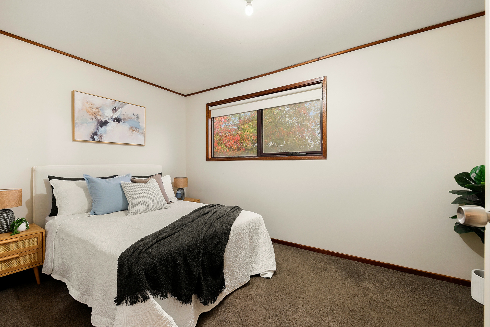 5 Salomons Place, AINSLIE
