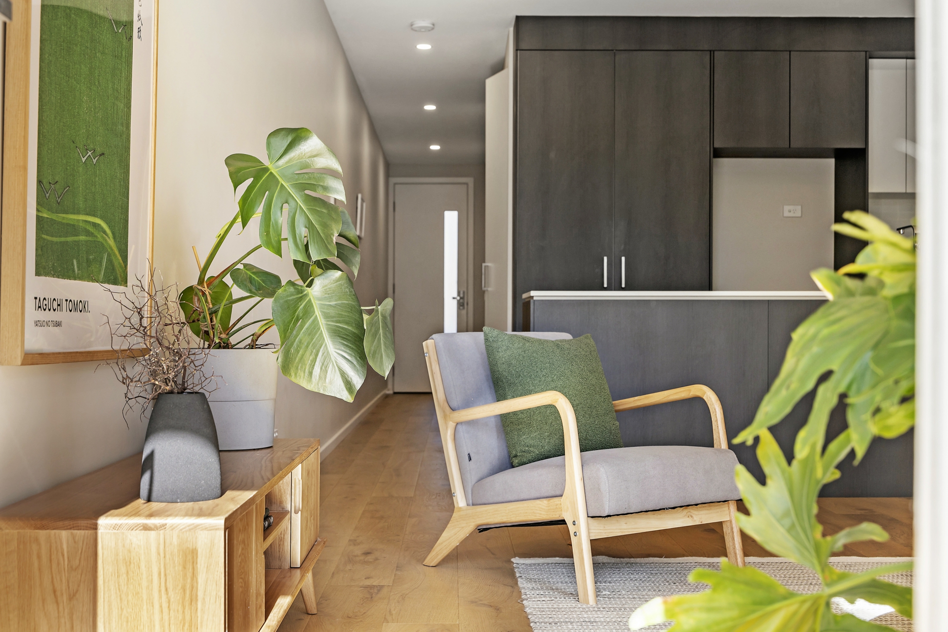 20/65 Frencham Street, DOWNER